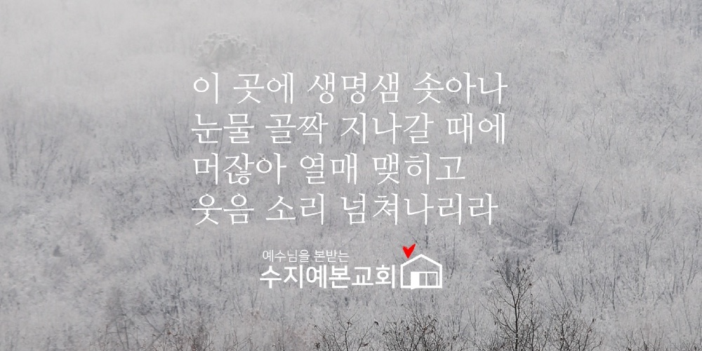 수지예본교회 웹사이트 대표 이미지