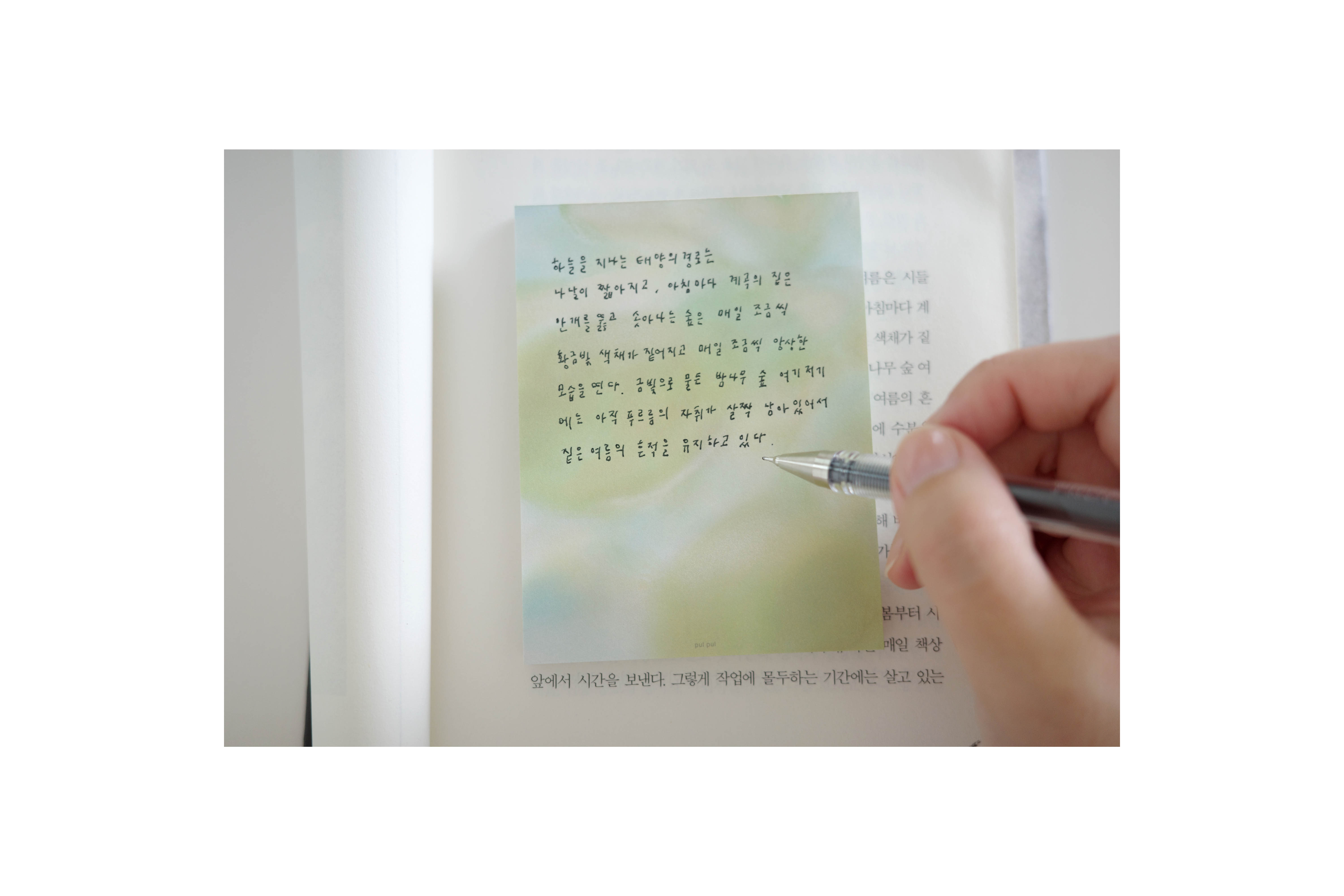 모과 memo