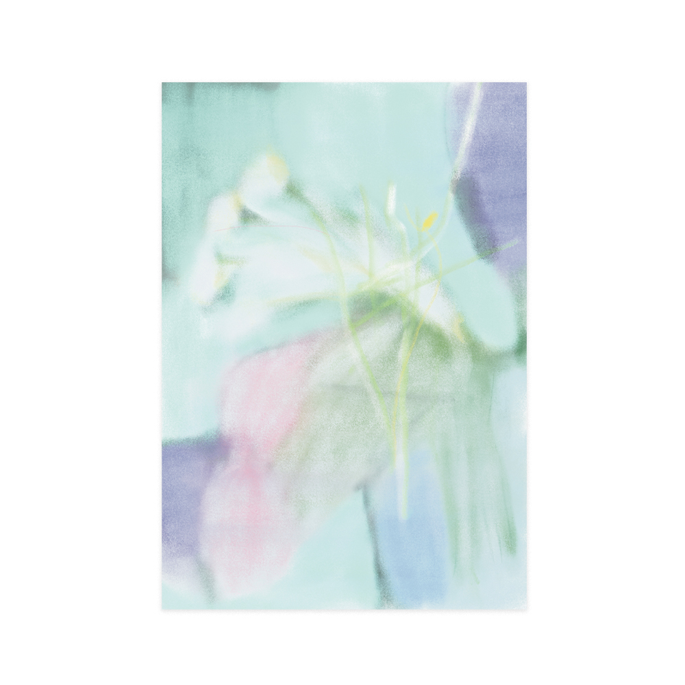[post card] 나의 방, 정물