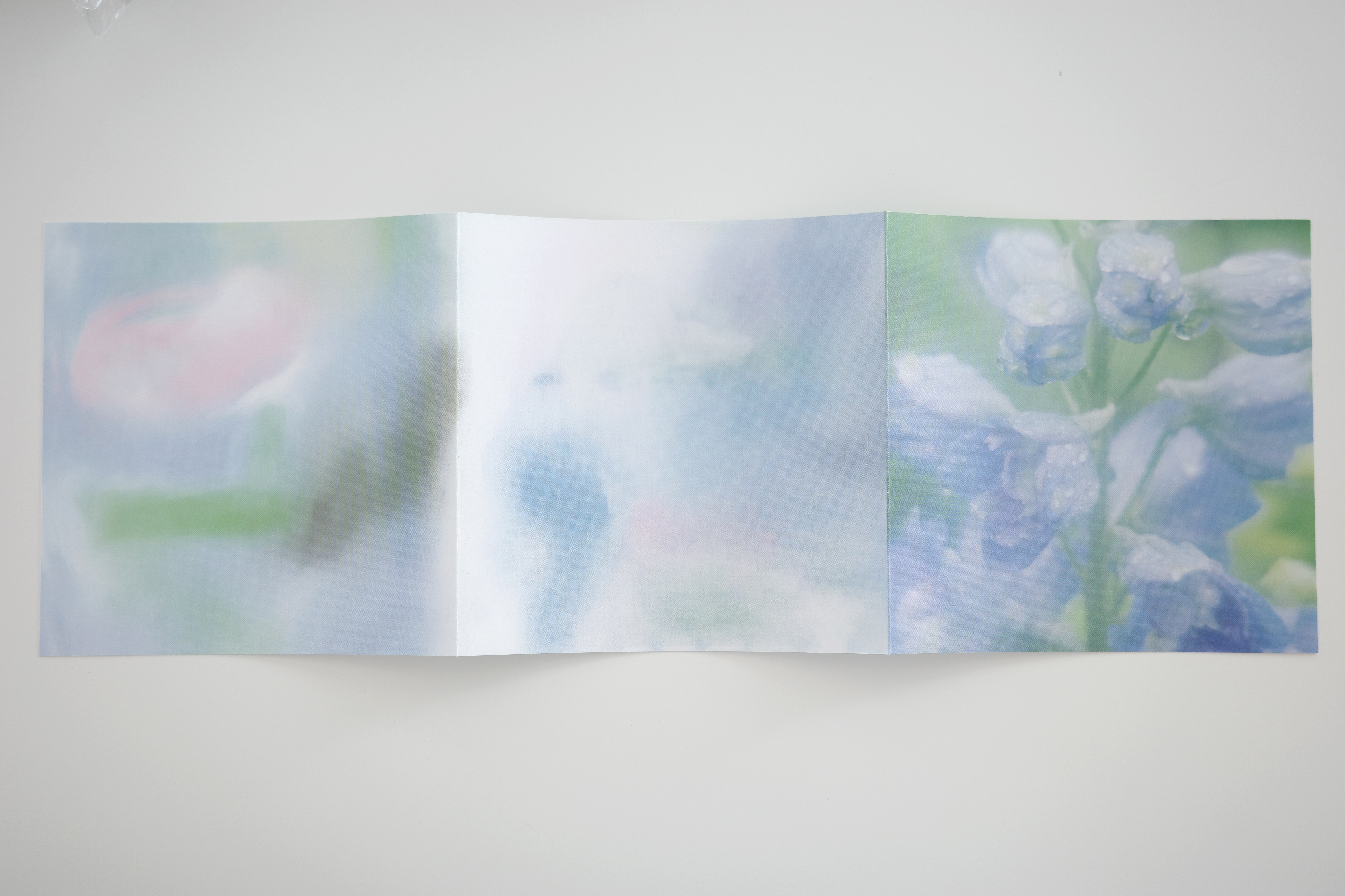 잎사귀와 나비의 음향 ambient music CD