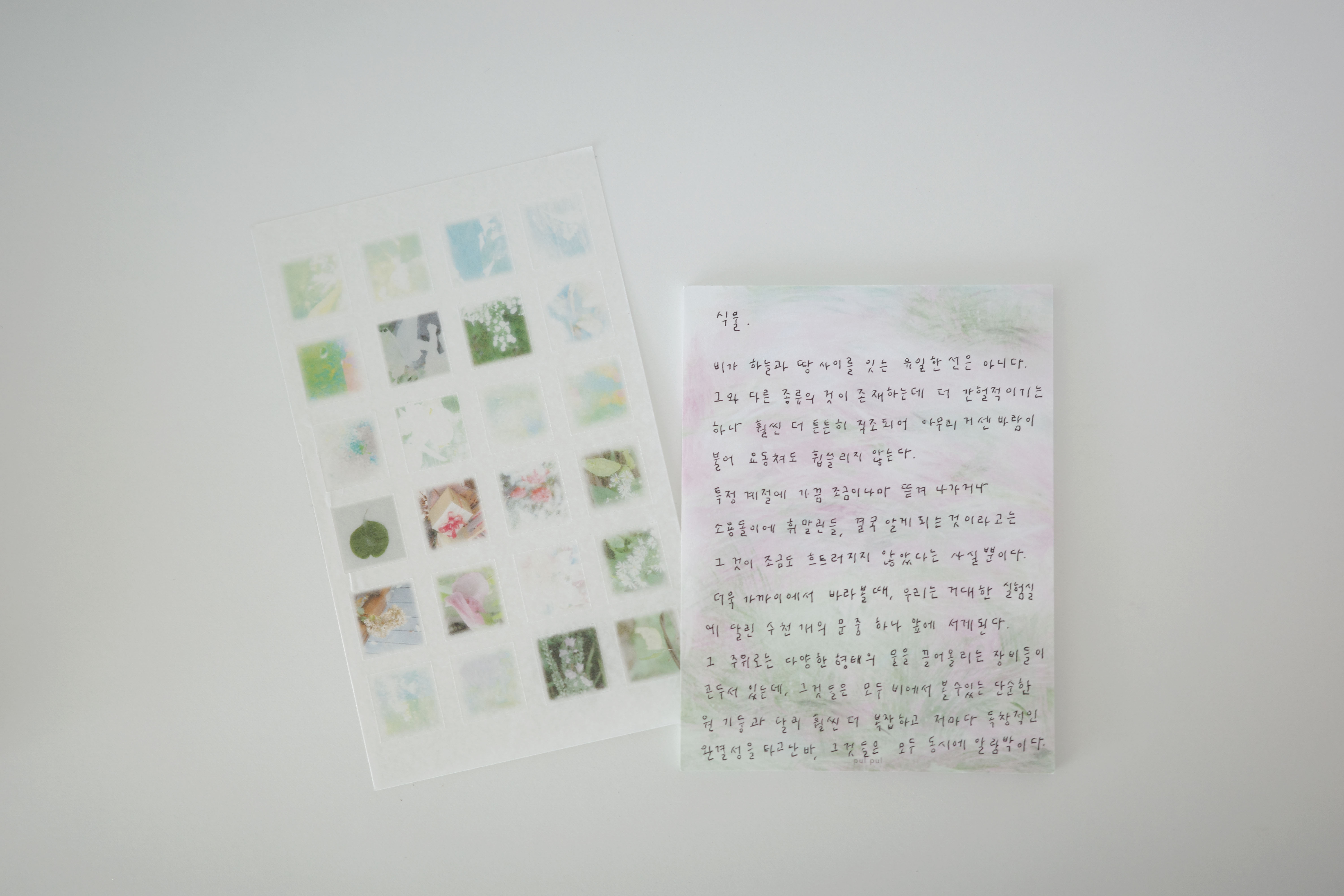 분홍 습지 memo