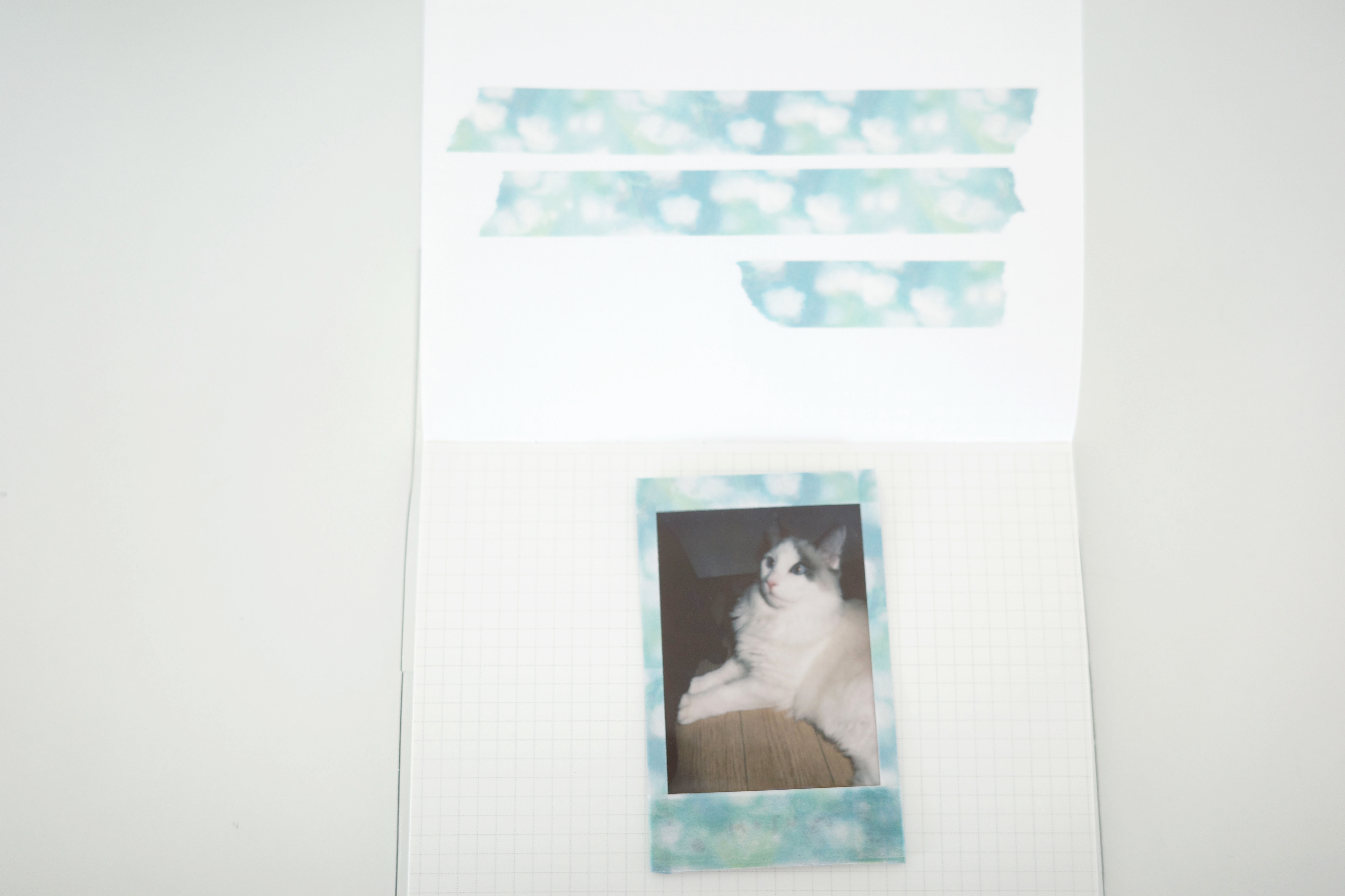 푸른 은방울 masking tape