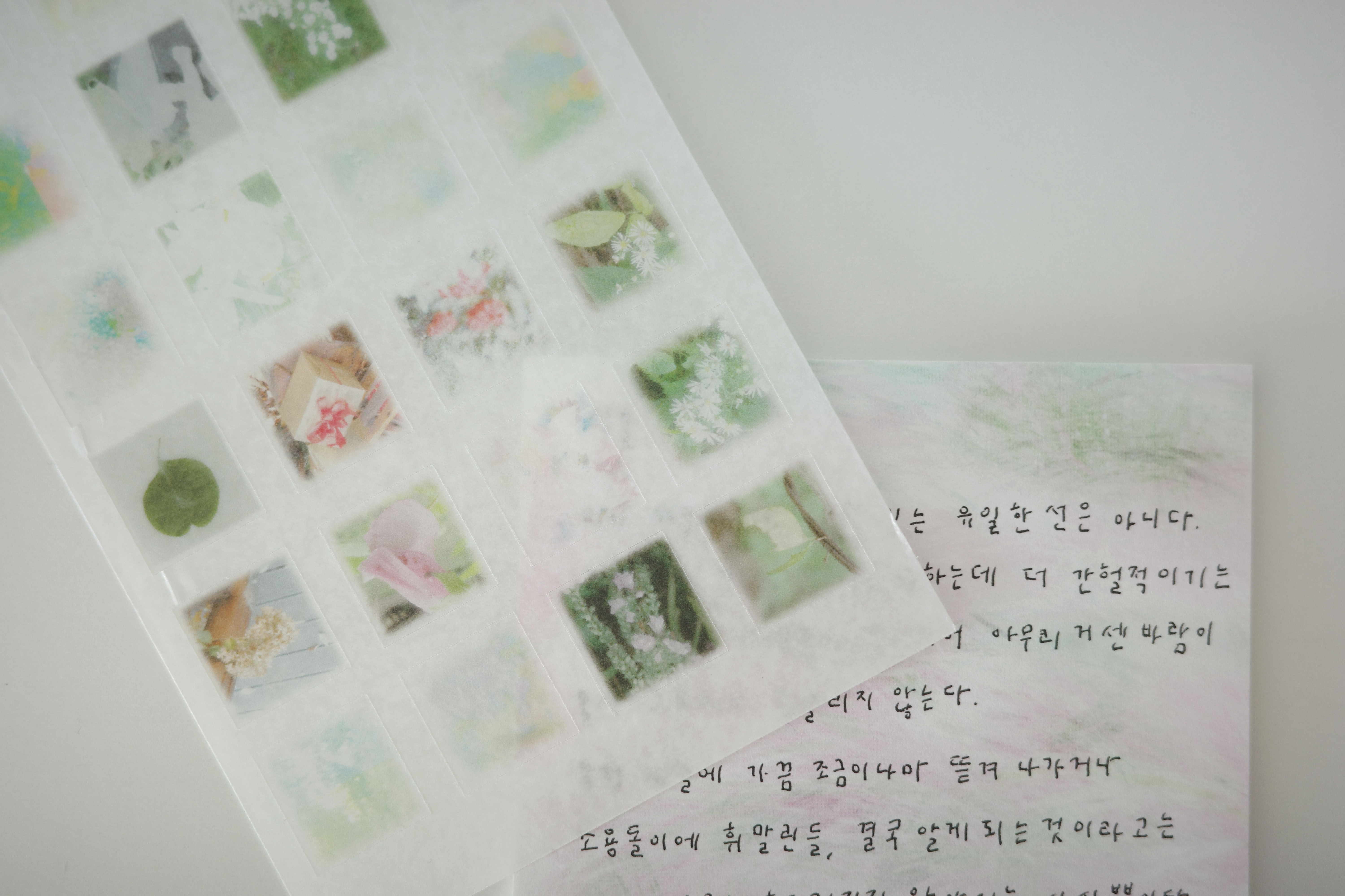 분홍 습지 memo