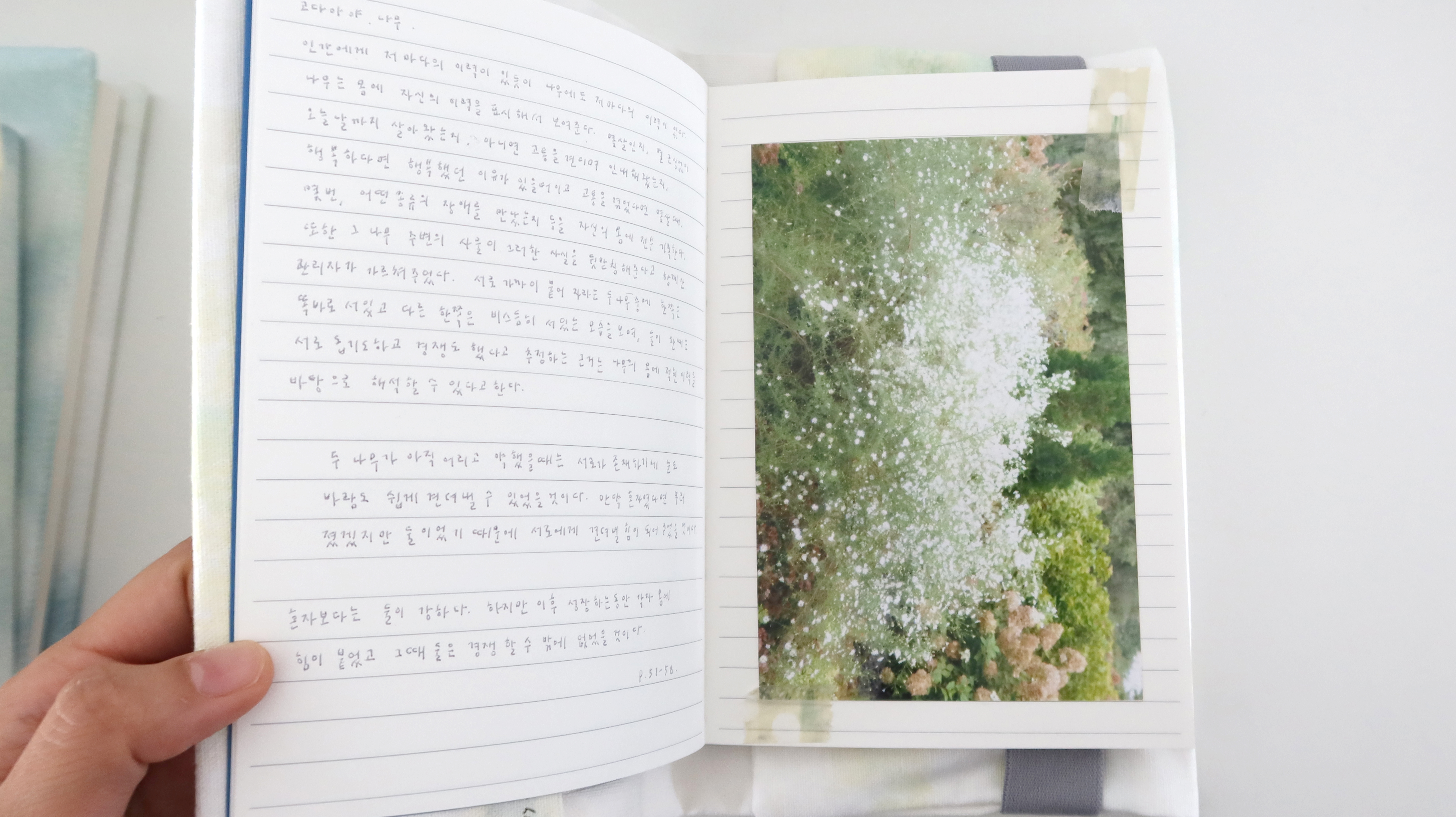 [handmade] 안개와 풀 Book cover