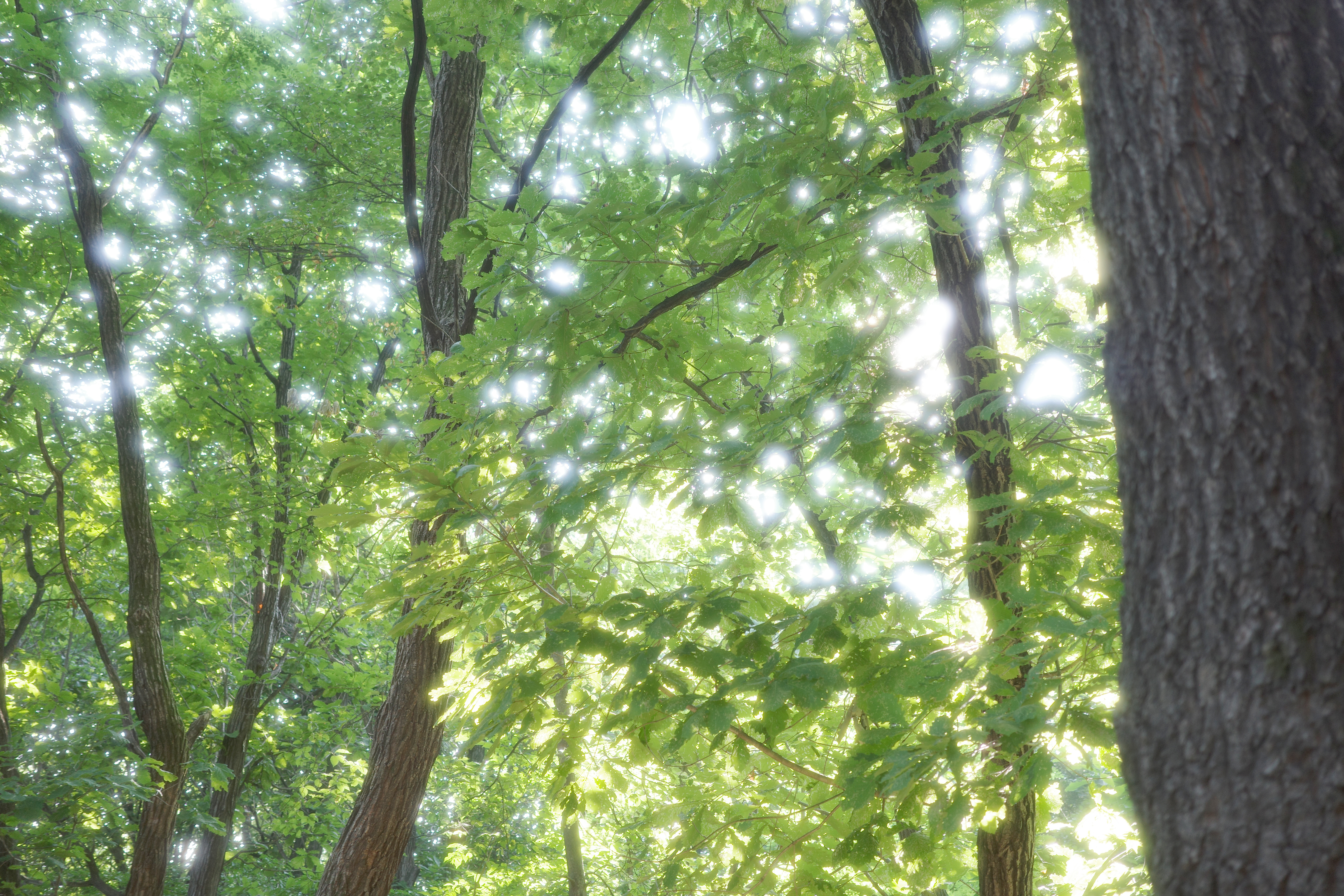 손수건 또는 도시락 보자기. 알사탕