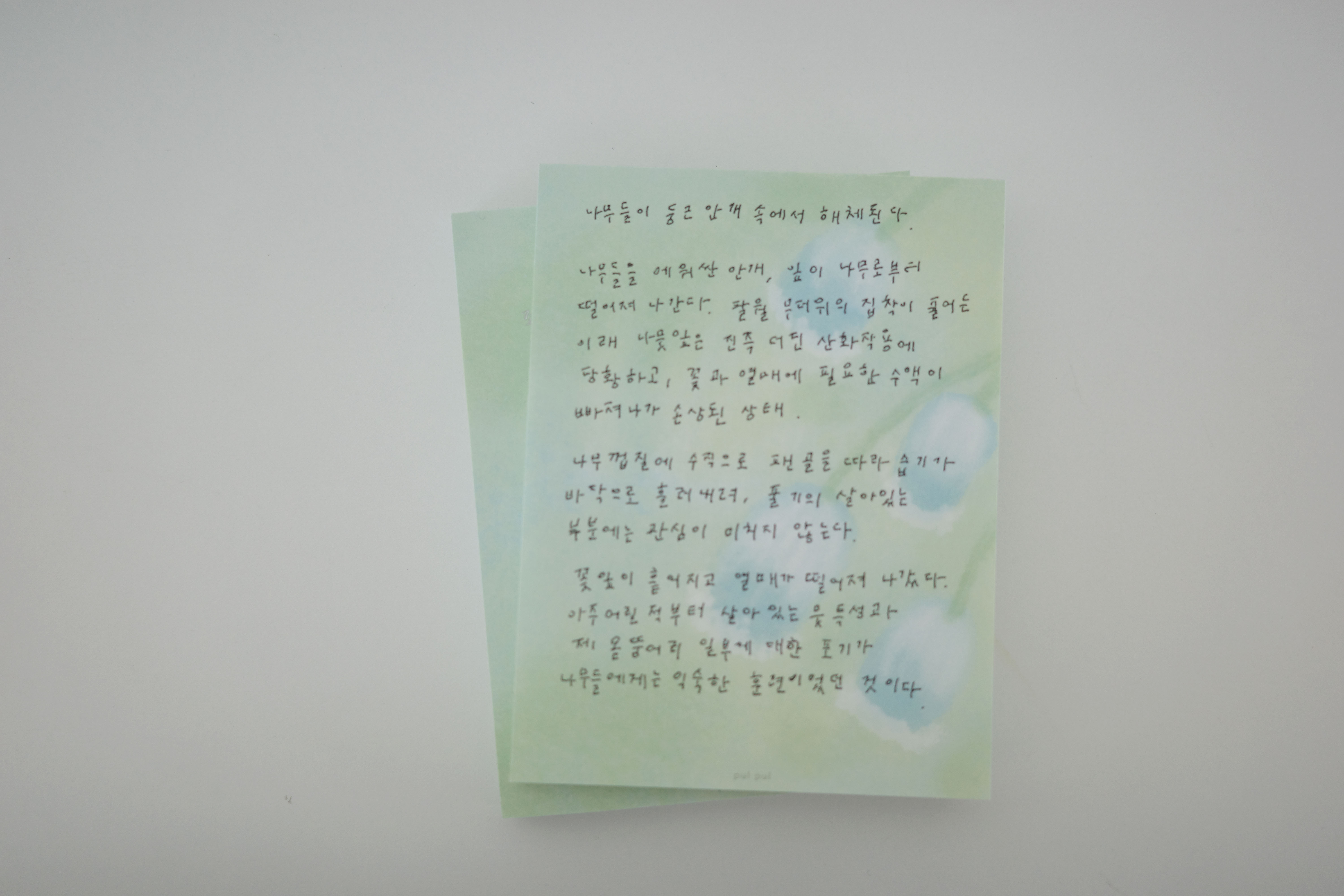 물망초 memo