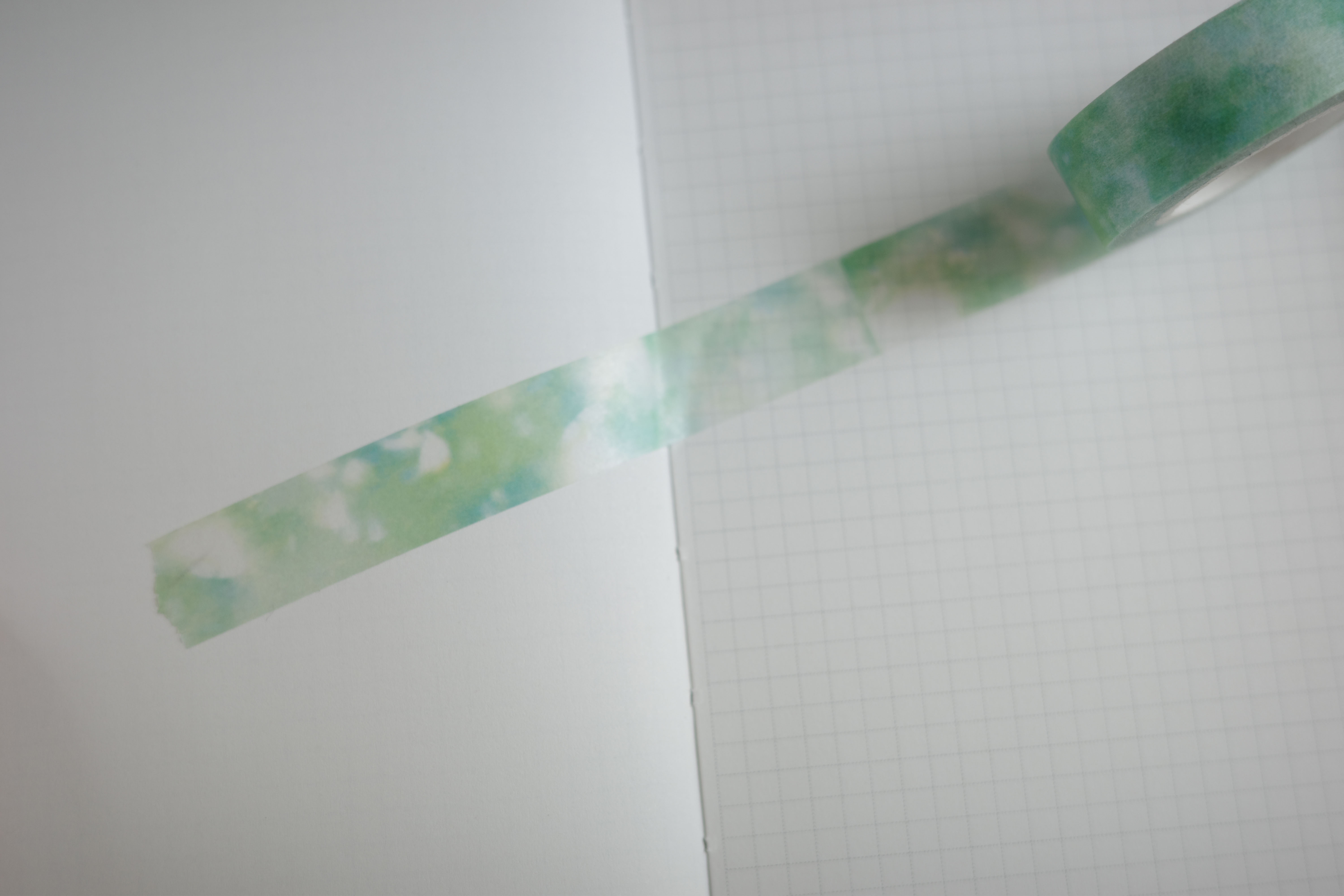 나뭇잎 masking tape