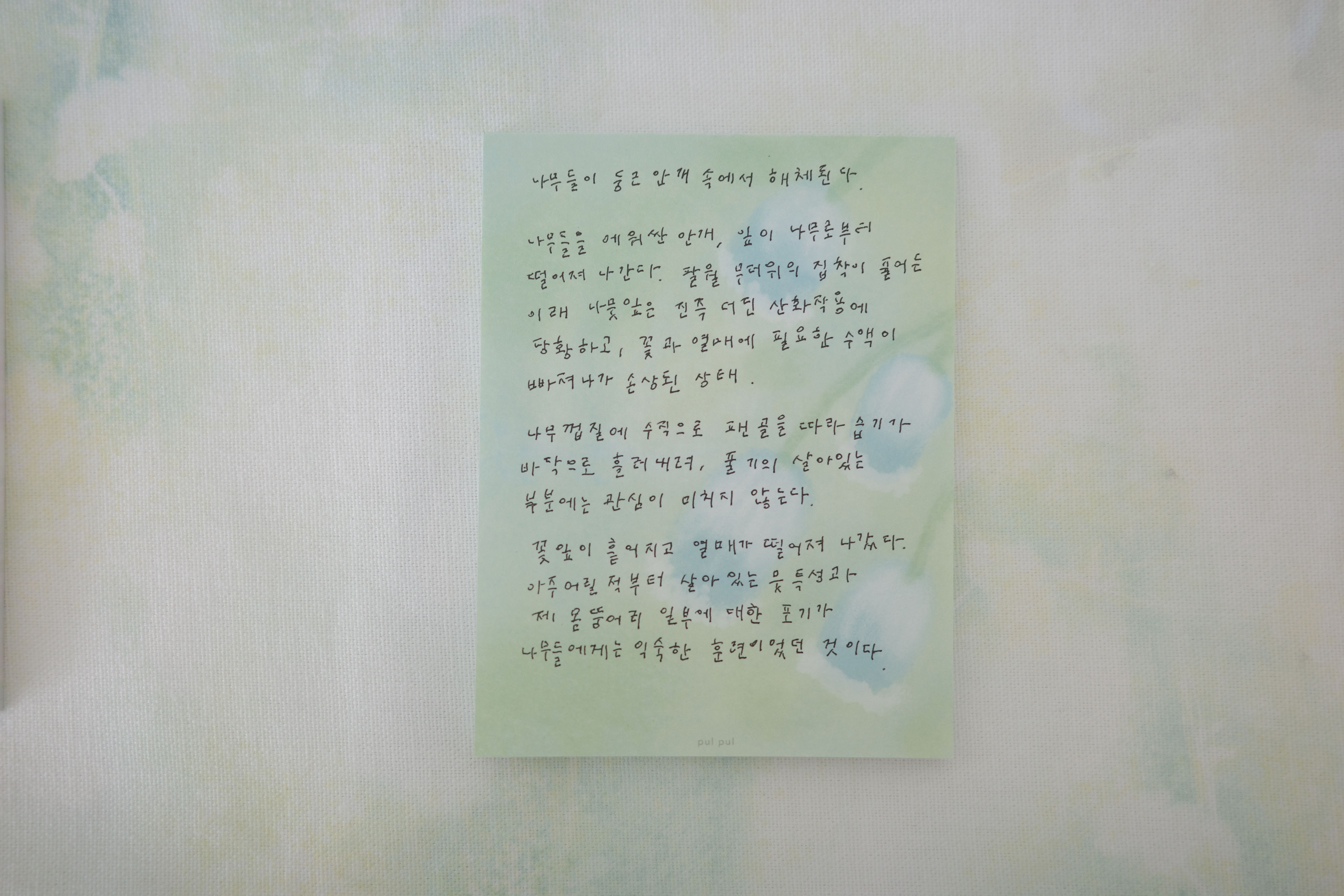 물망초 memo