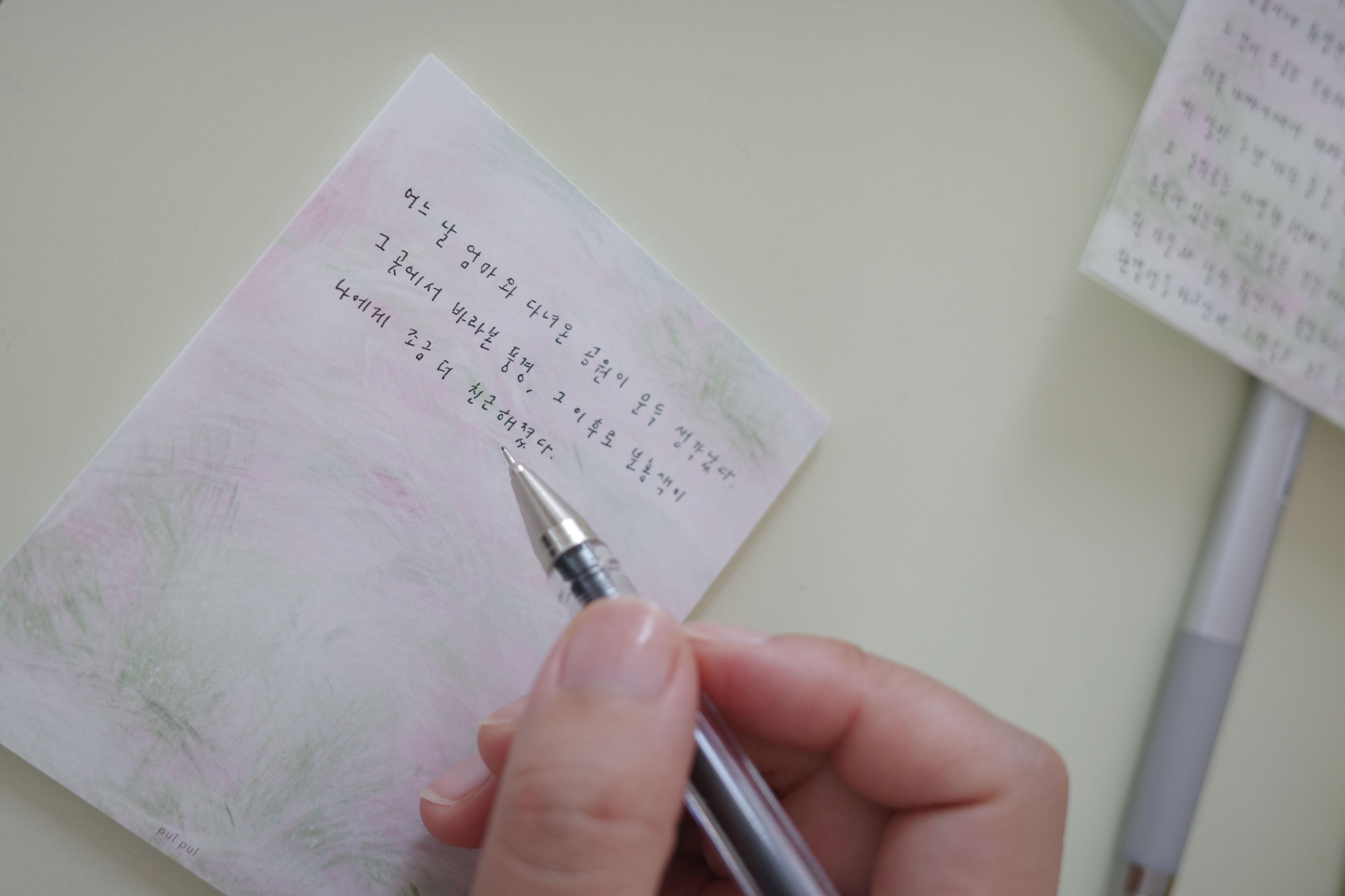 분홍 습지 memo