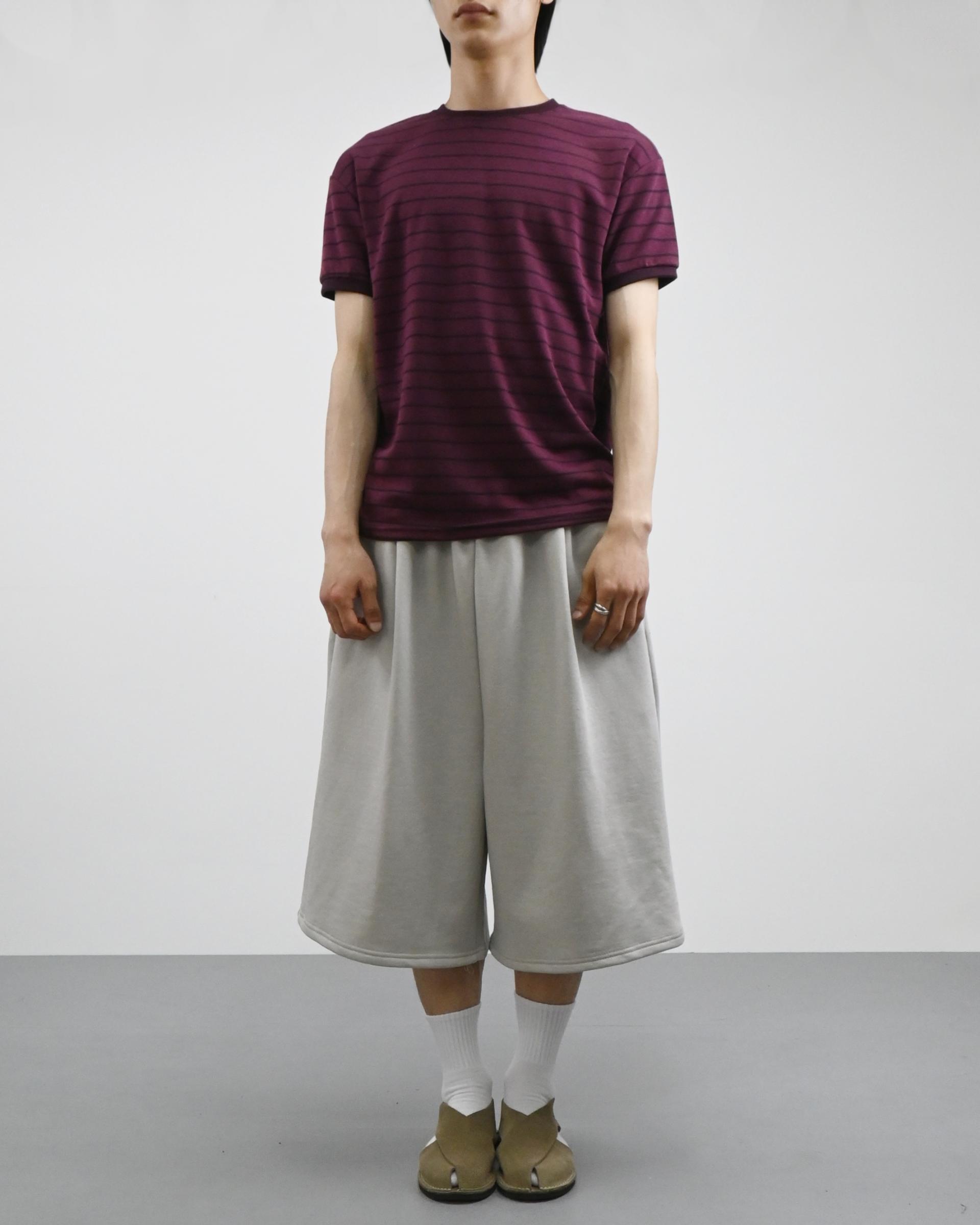 stripe ringer half t-shirt