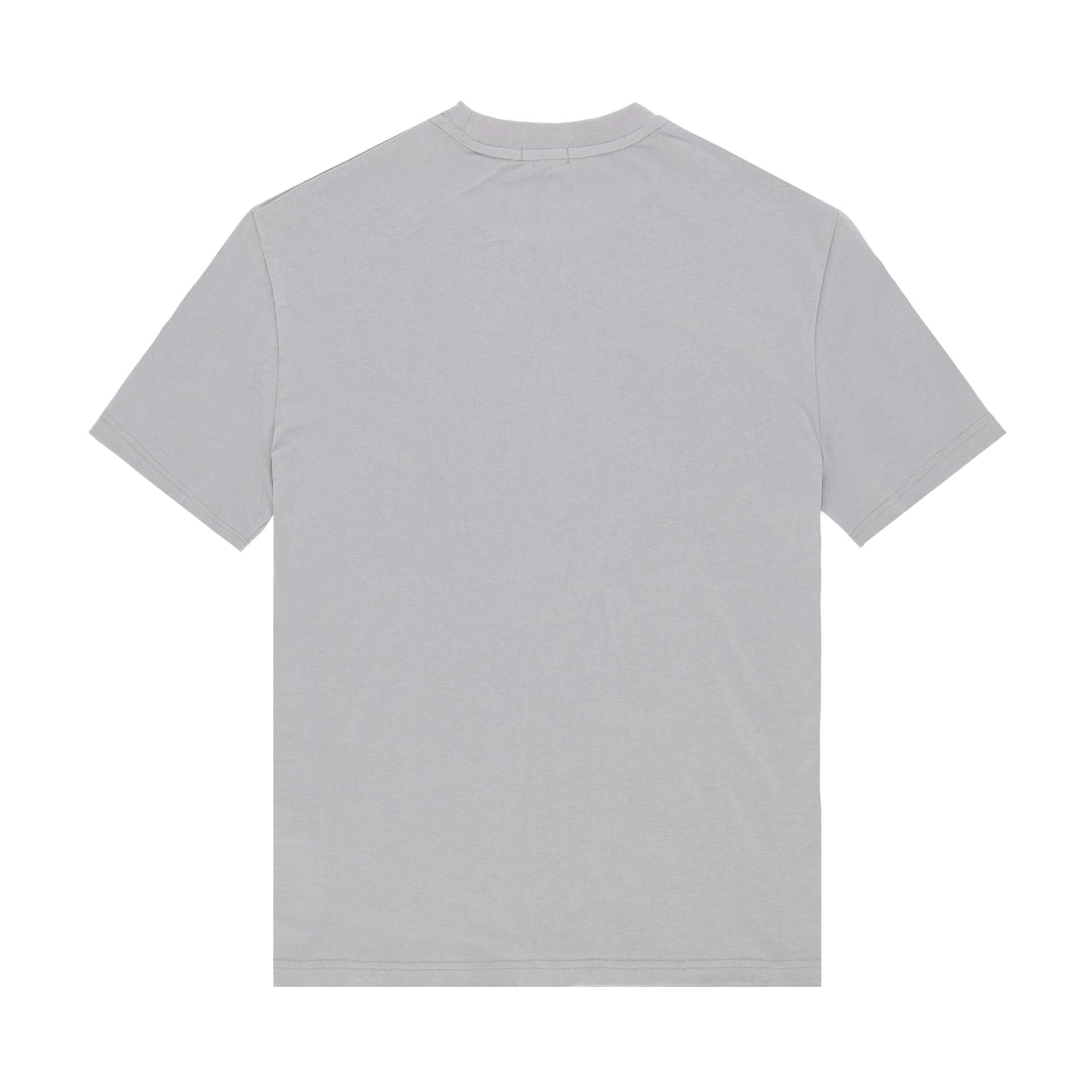 PROBE T-SHIRTS (GRAY)