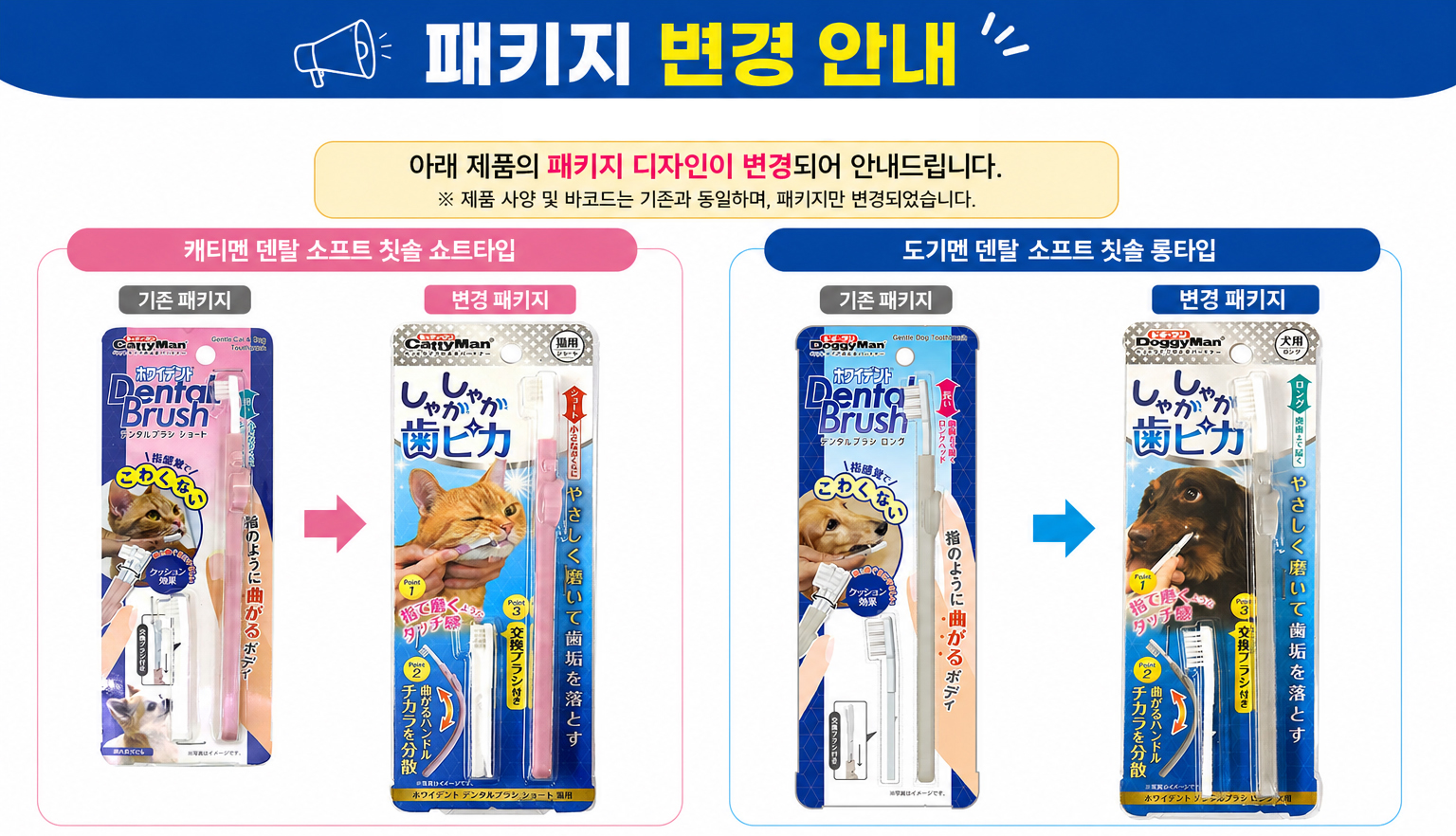 (6월 행사) 캐티맨 덴탈 소프트 칫솔 쇼트타입
