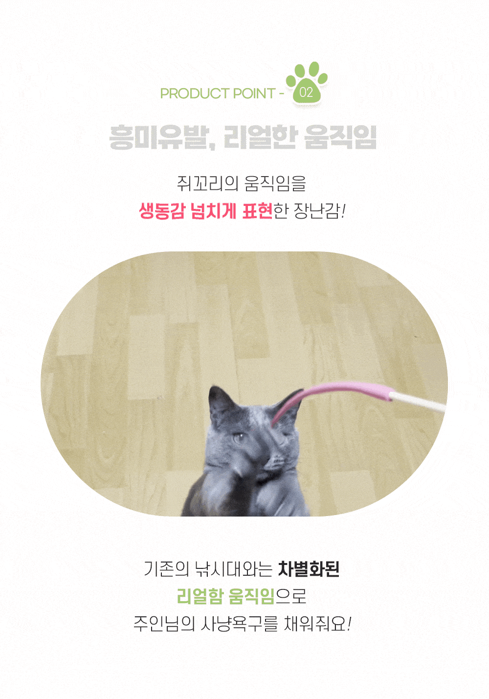 (8월 행사) 캐티맨 고양이 텐션 끝판왕 4종 세트