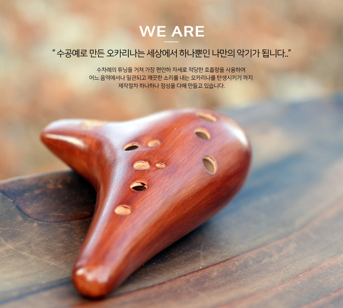 309596f67c7d7.png