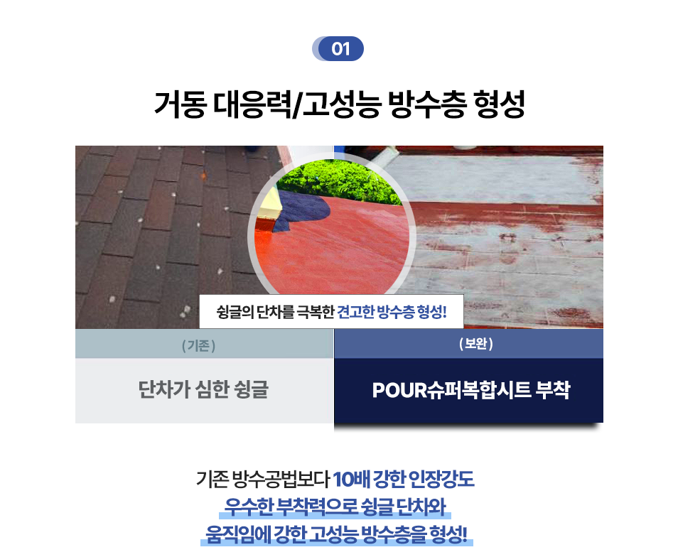 fe16a70431d04.png