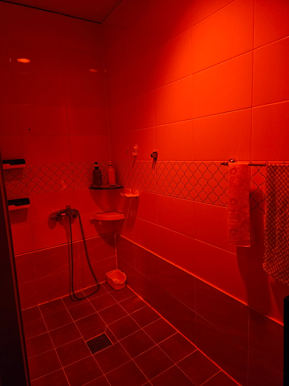 1123326e3a87a.jpg