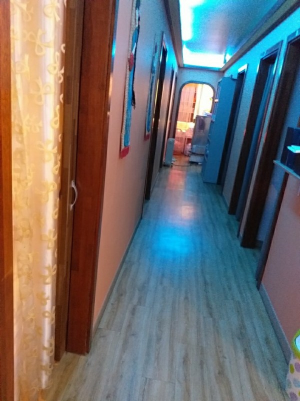 42913434f1057.jpg