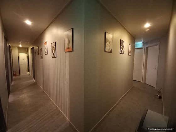 ba076039d419b.png