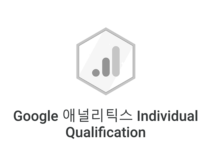 Google Partner Badge 6