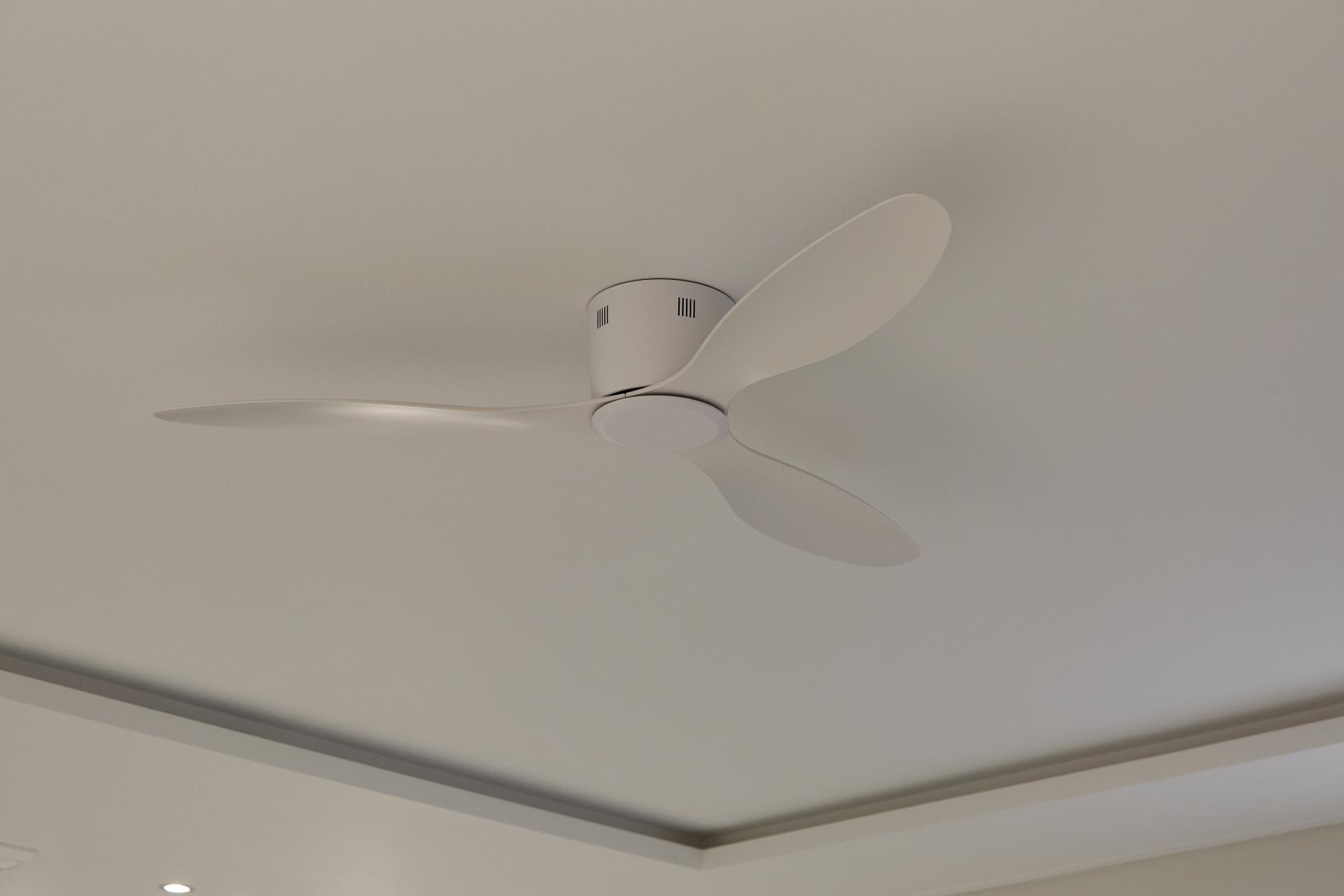 44331902cae1a.jpg