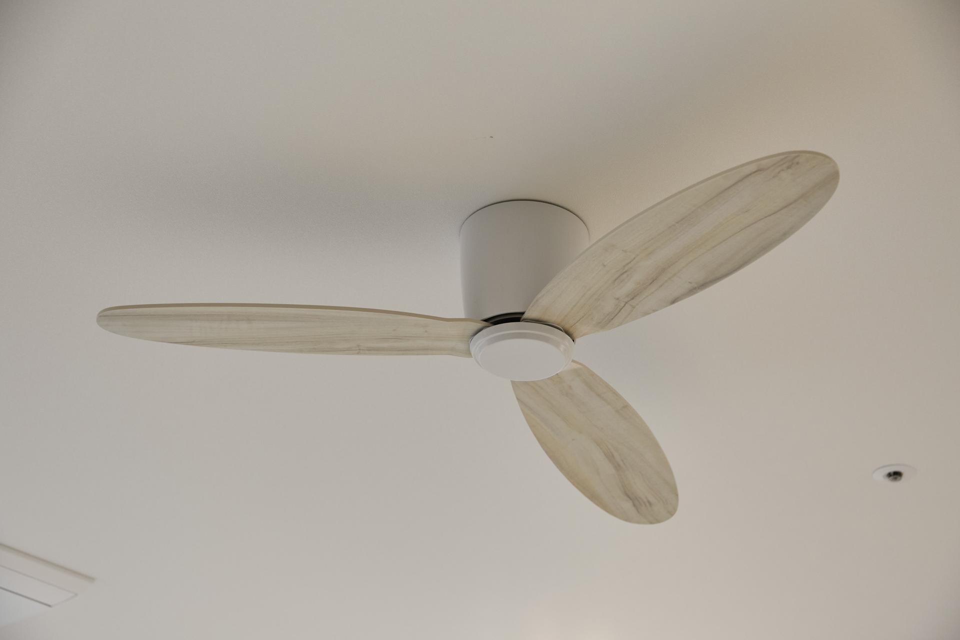 c9c3dd84180bb.jpg