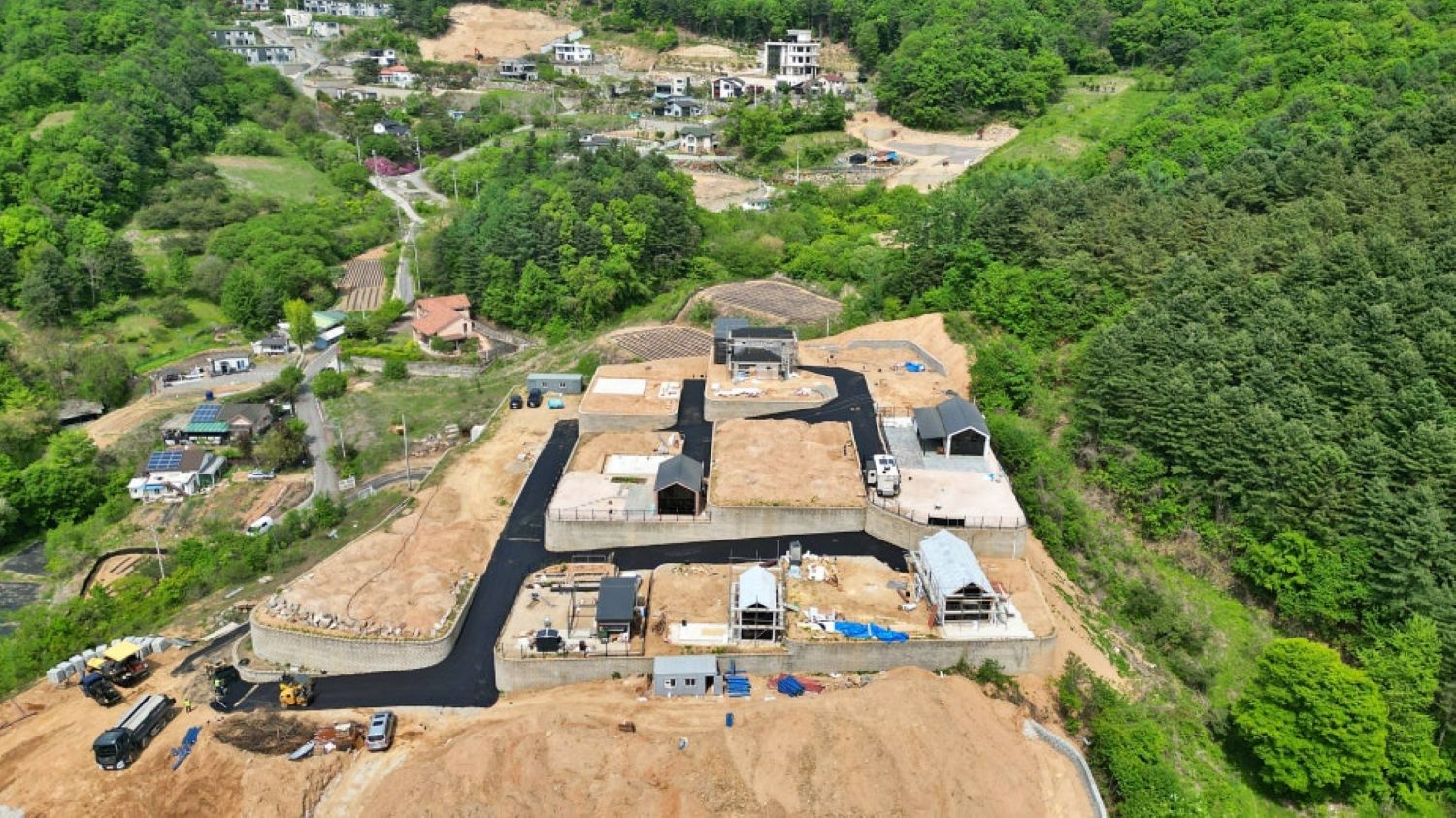 76968e7565799.jpg