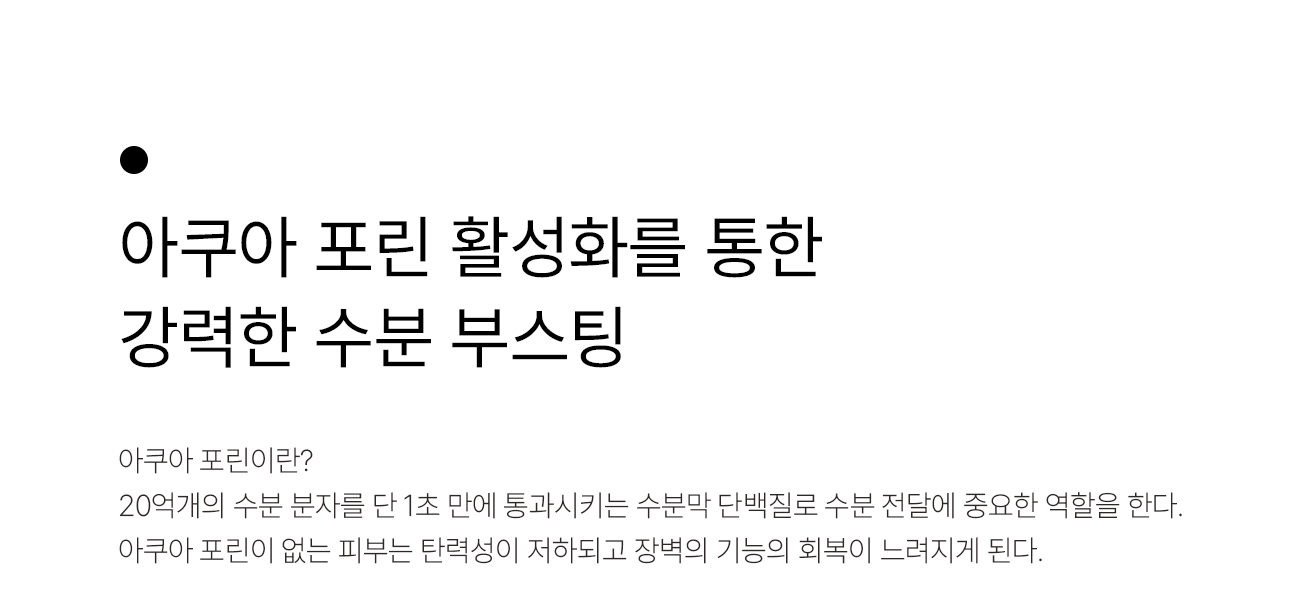 발삼 파우치