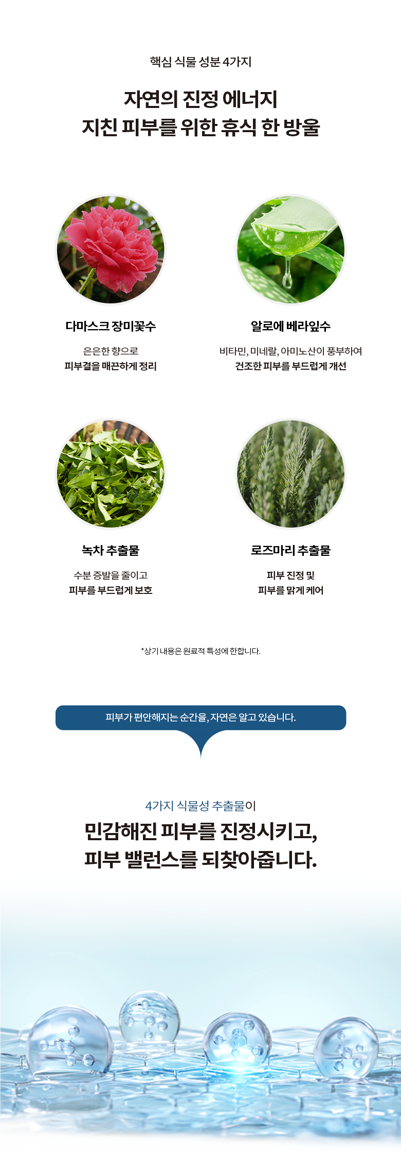 고급스러운 스파광 SET