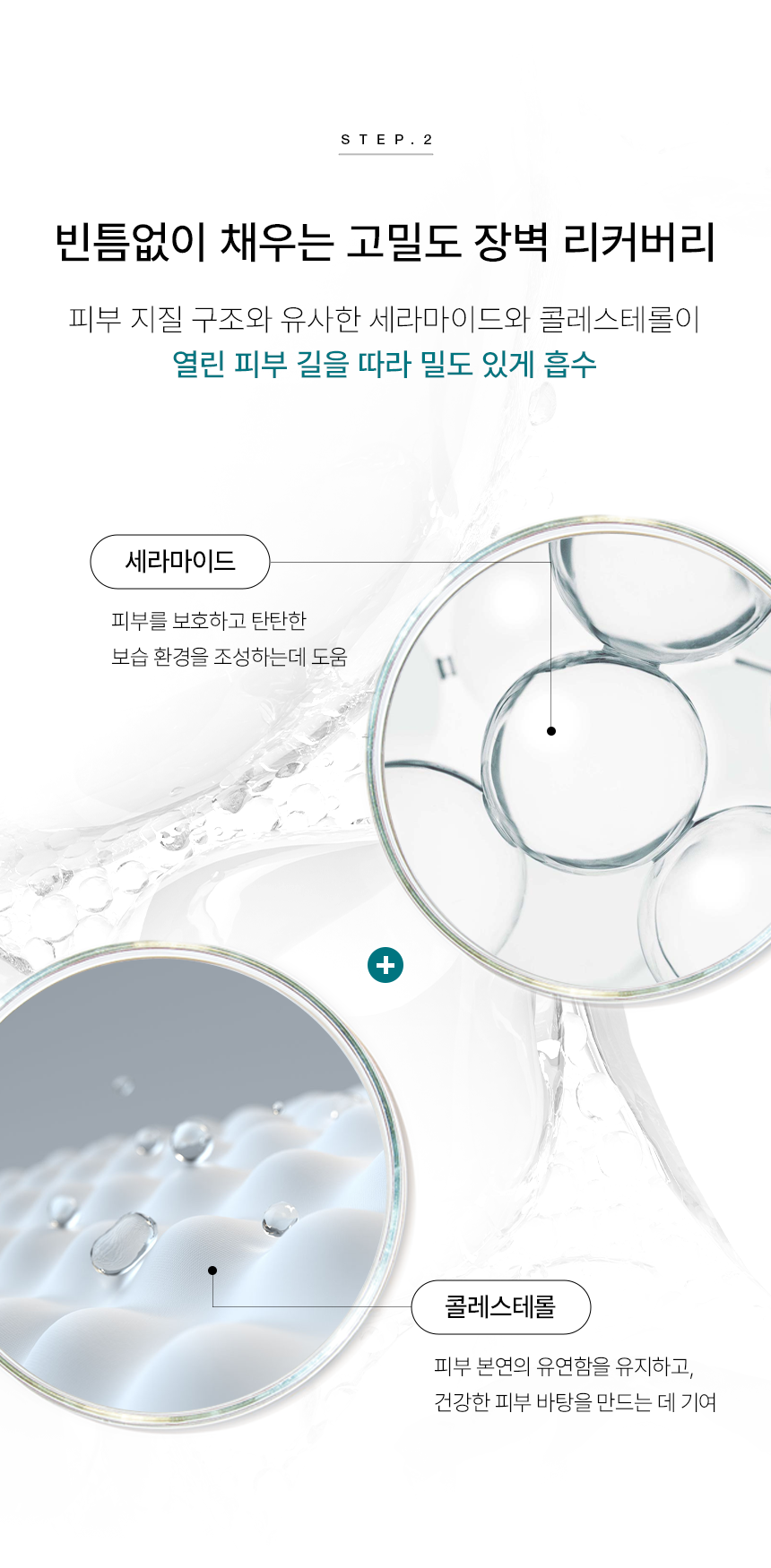 CIACLAR LEZE 쇼가올 CPR 크림