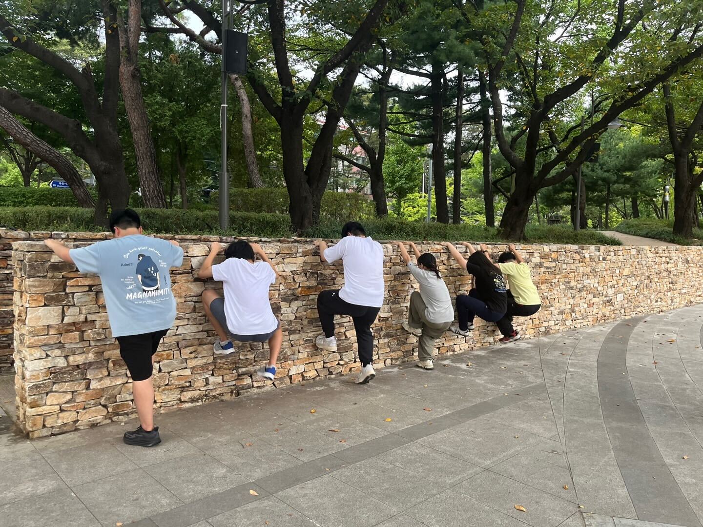 지니 카지노