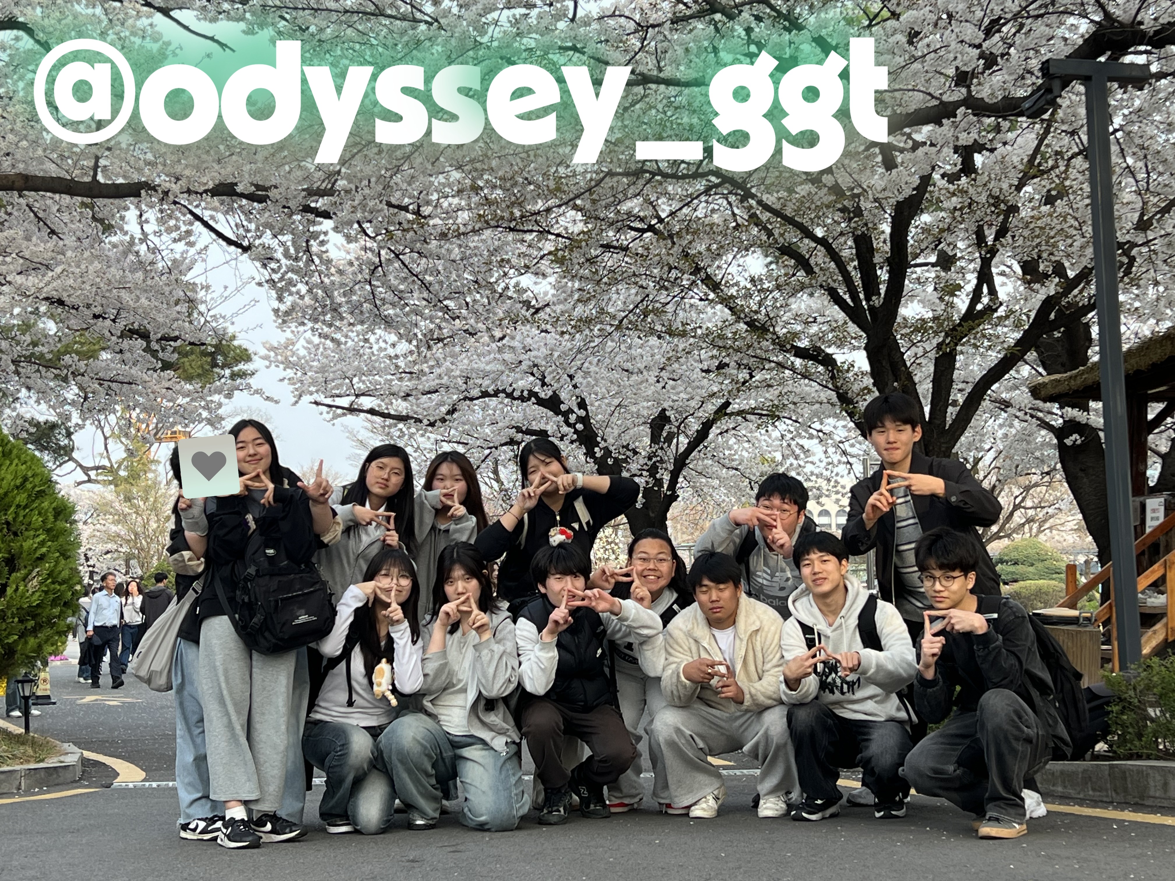 2c91f22b5fe85.jpg