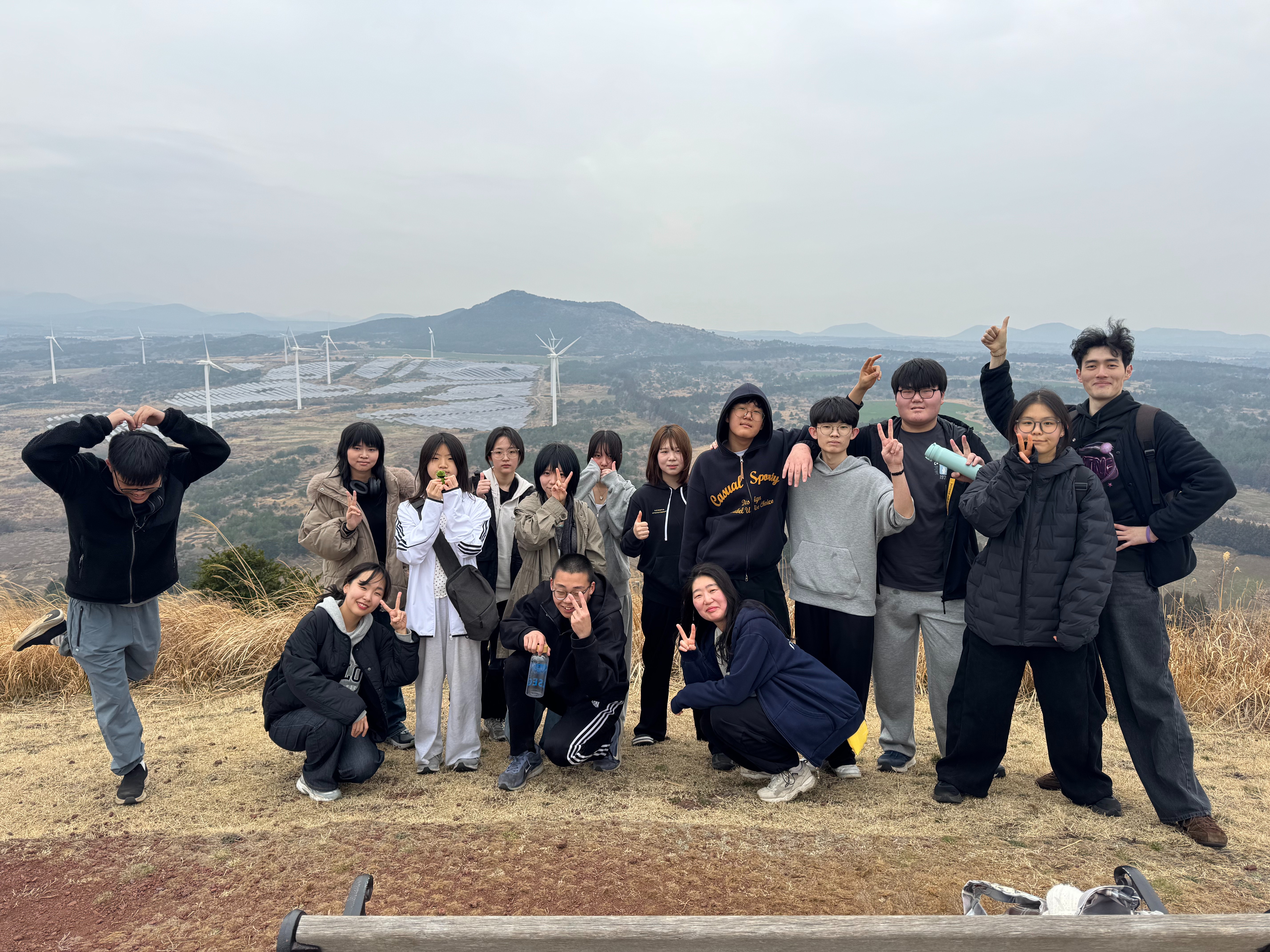fea8d17167462.jpeg