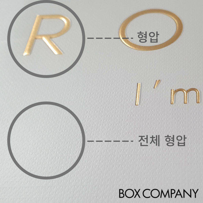 박스공정 전체형압