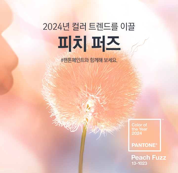 박스제작 올해의 팬톤색상