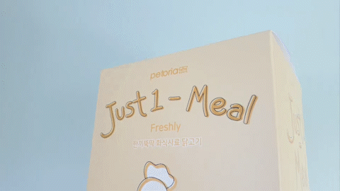 펫토리아 에폭시 단상자