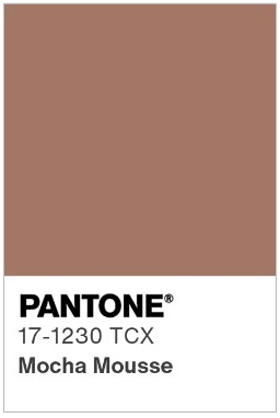 PANTONE Mocha Mousse