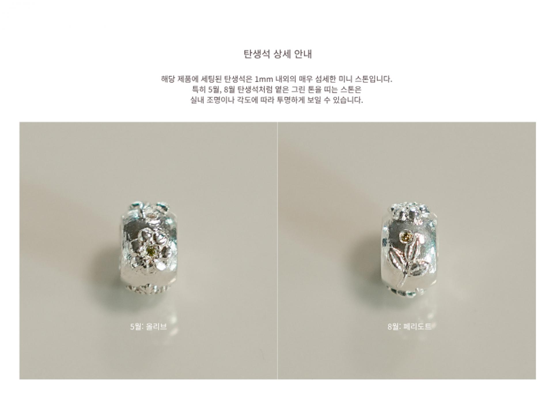 생을 축하해, silver necklace