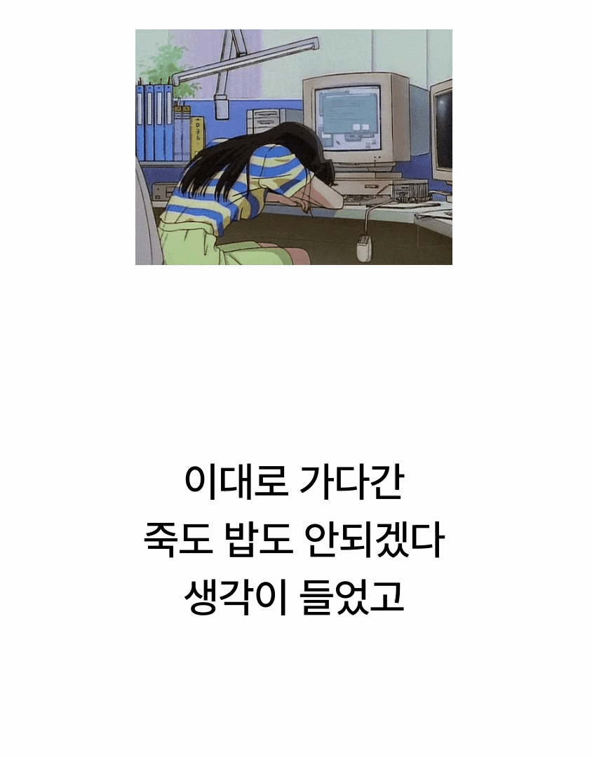 프리미엄 갓생 지름길 노션 템플릿 G키트 (Z키트+N키트)