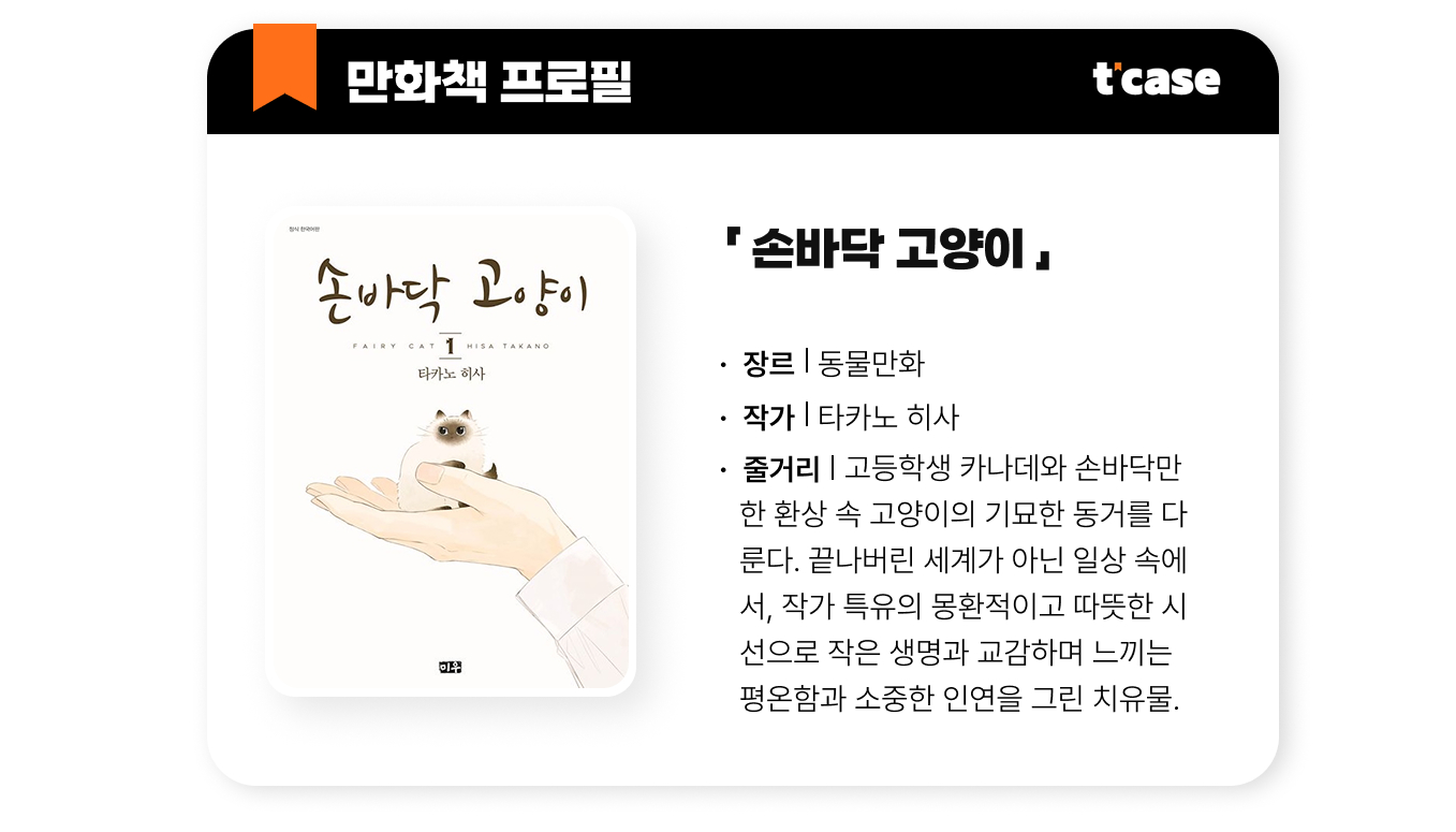 손바닥 고양이