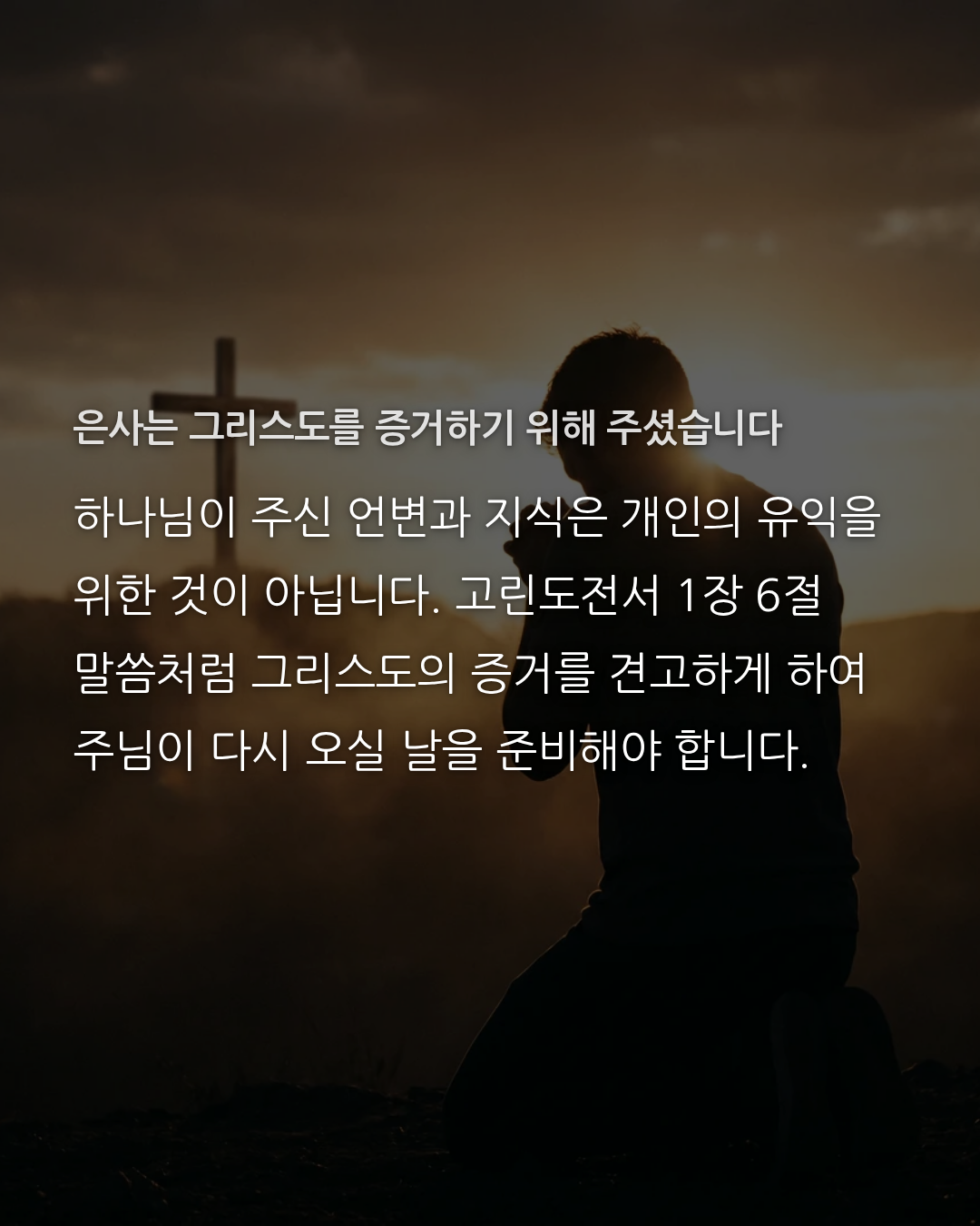 0c8f5408d4eb1.png