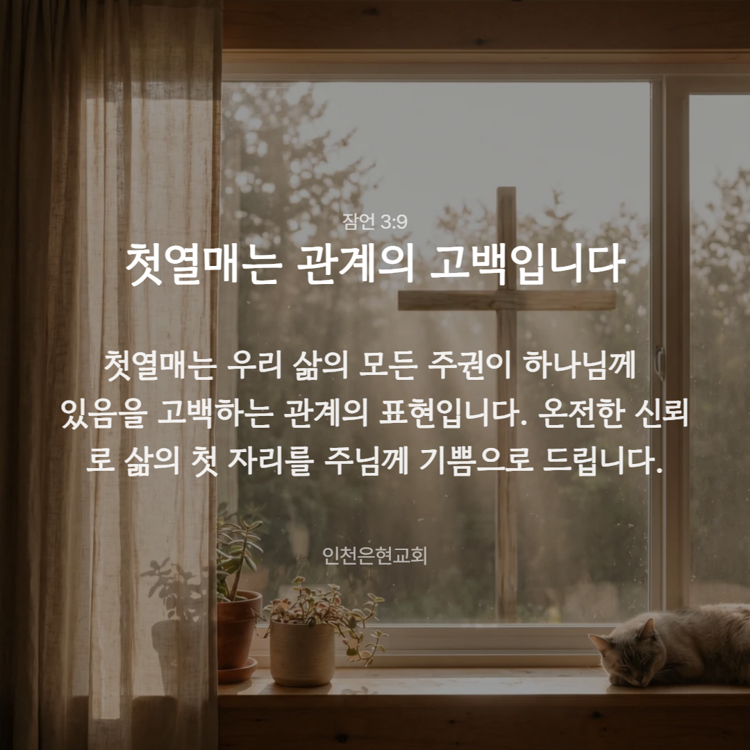 0cced010eb265.png