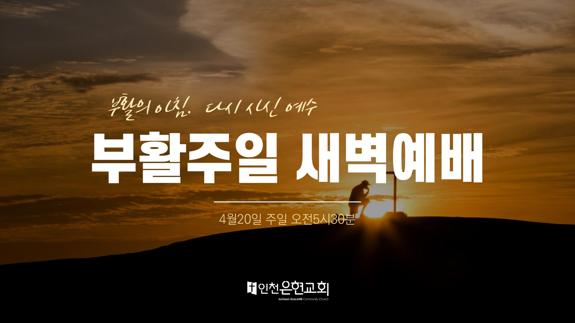 0fe4a9382b914.jpg