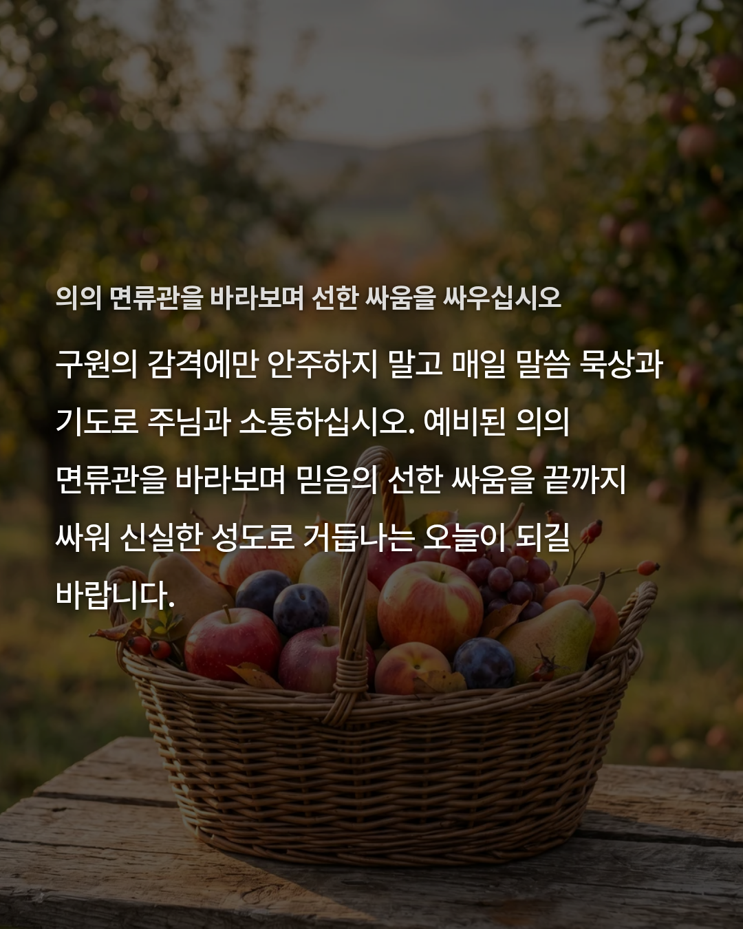 127eee477d539.png