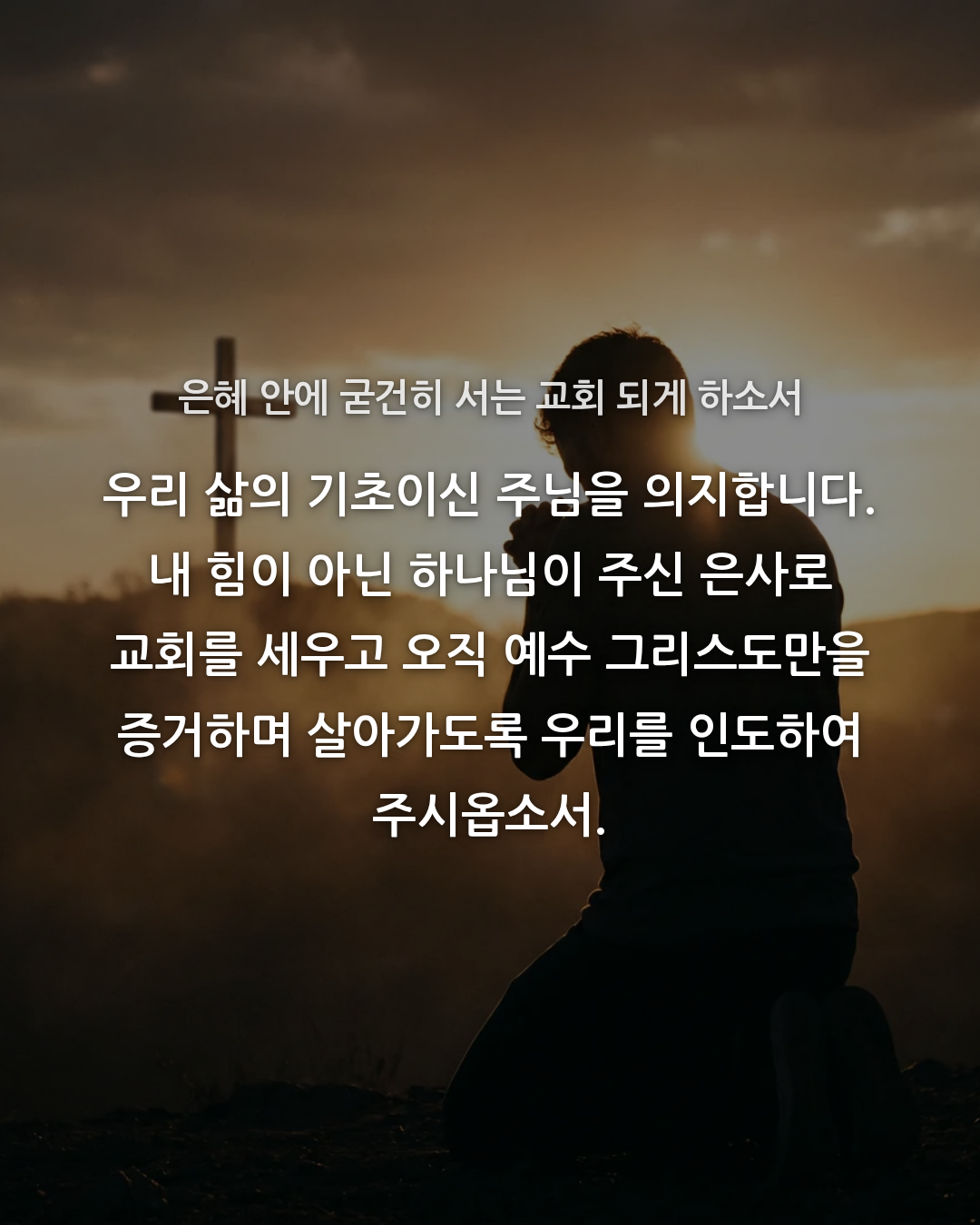 243ccc7f43c9a.png