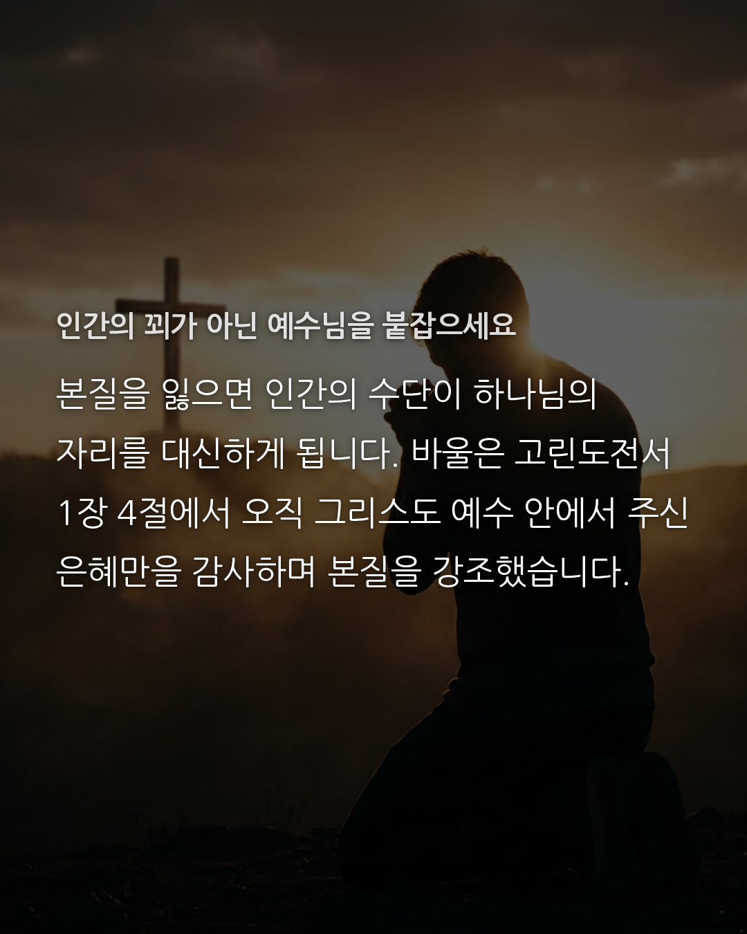 39d5d3939cb4e.png