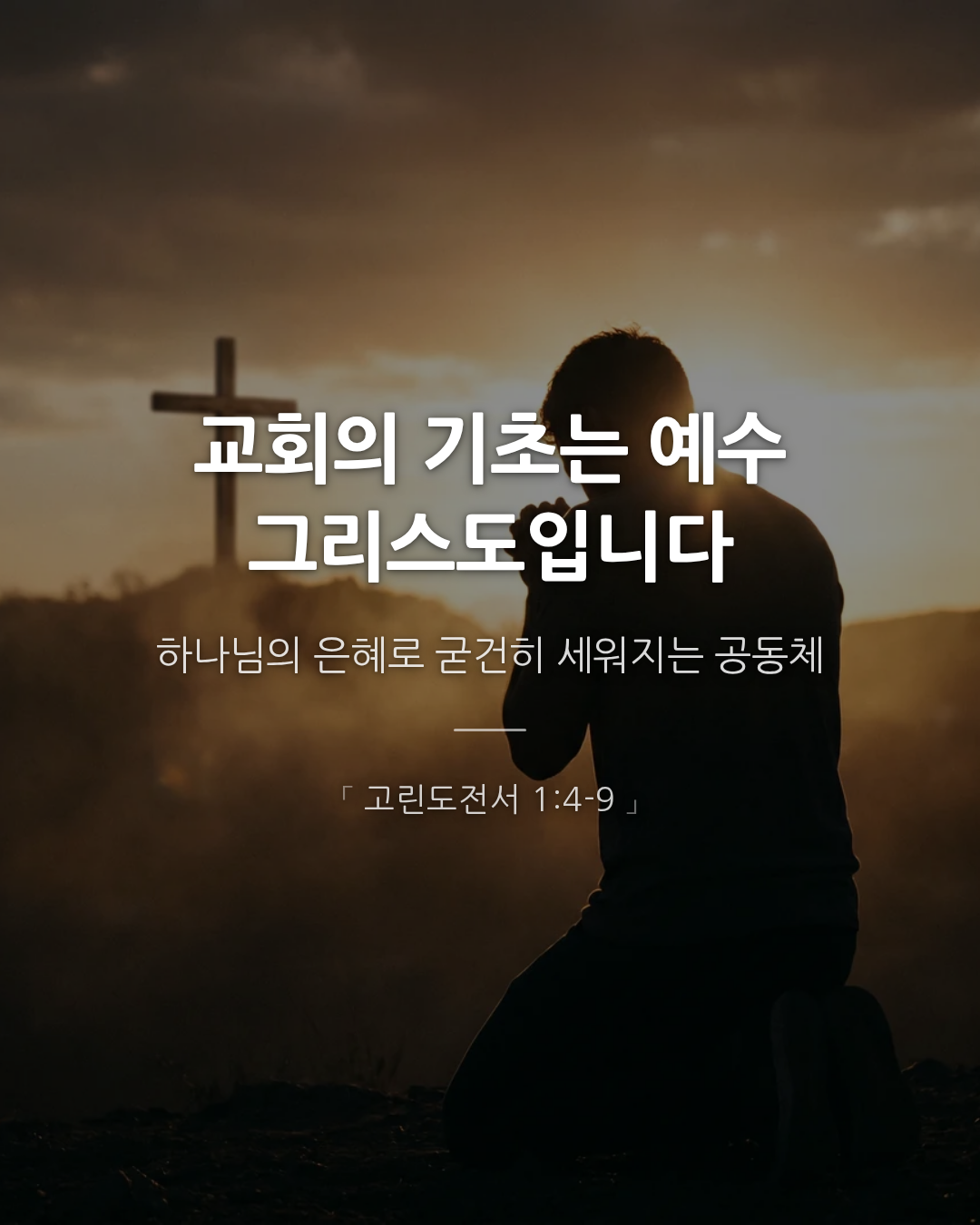 466d0563cd0c0.png