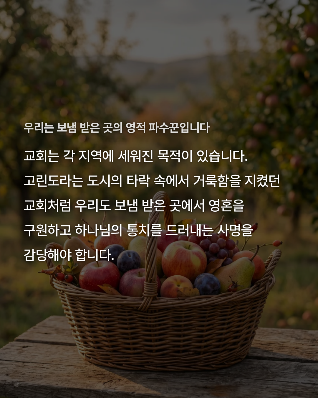 517c3f7d4a9c9.png