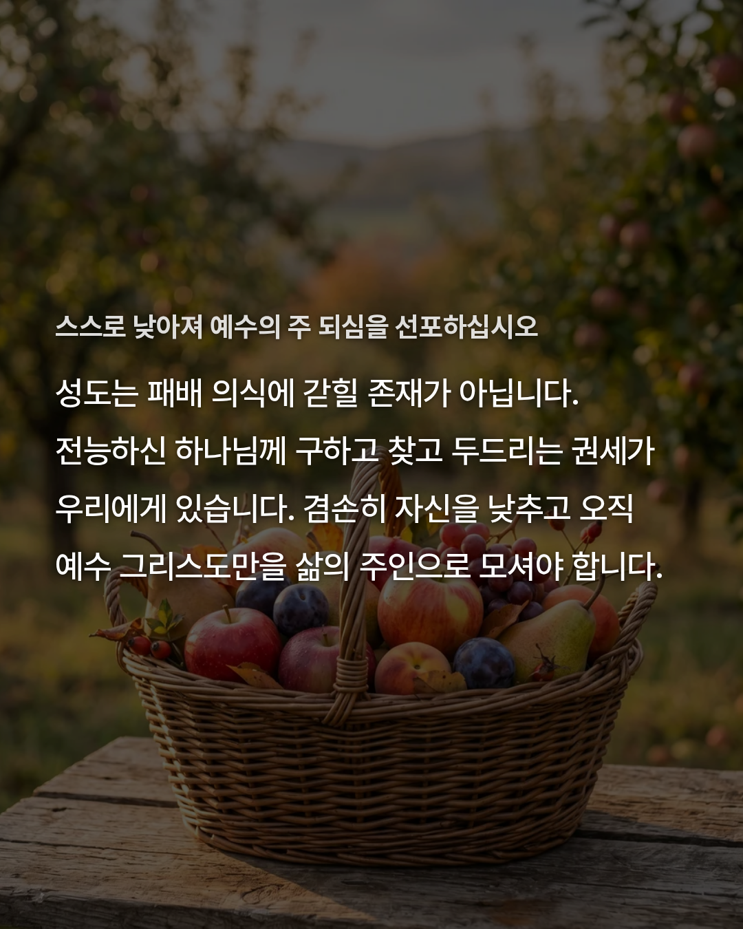 57a7f52c6afd8.png