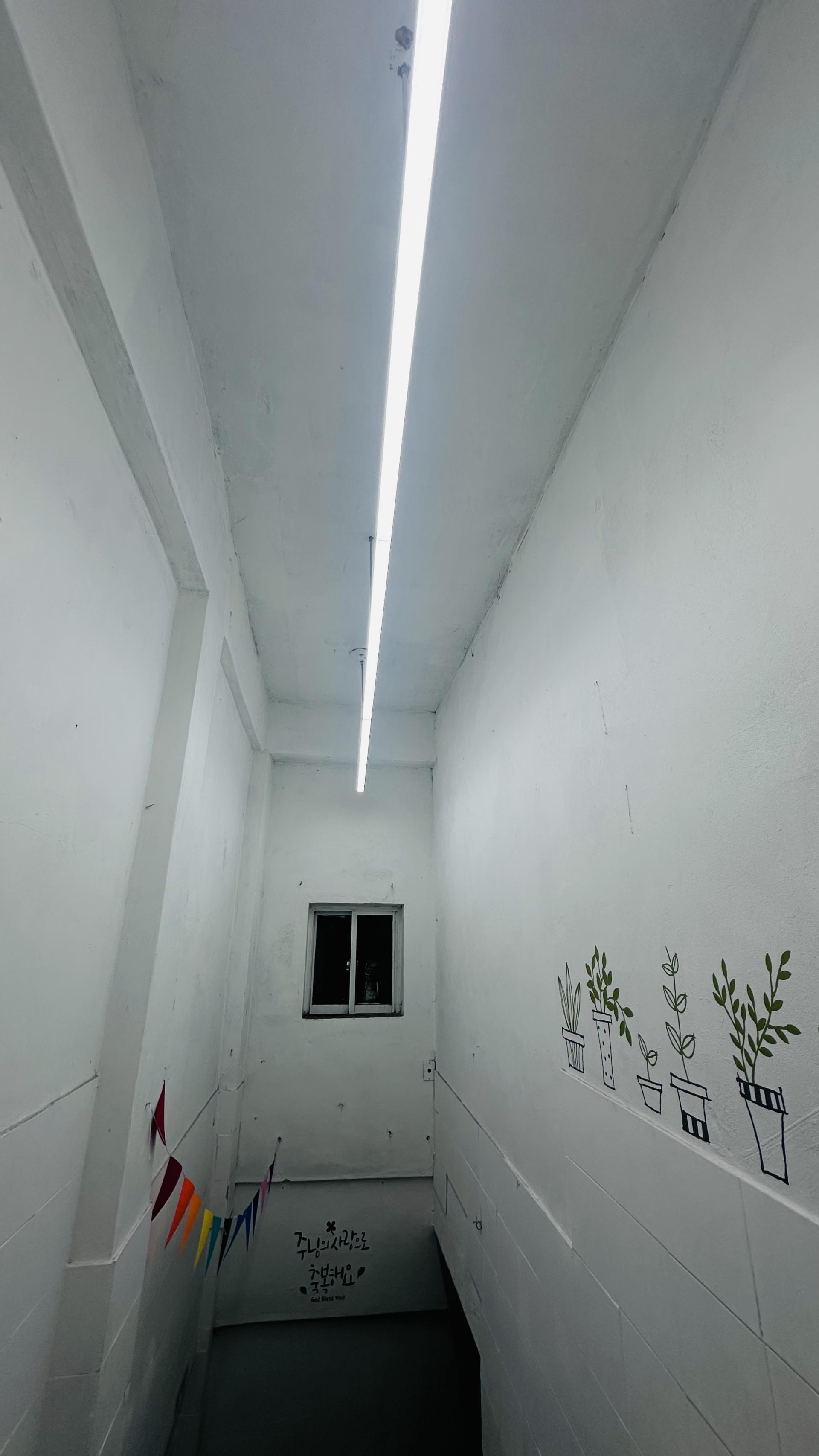 c1ea65295c960.jpg