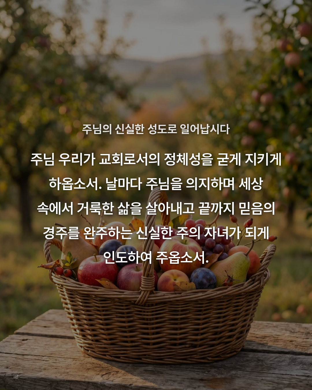 d4c30e56b132f.png